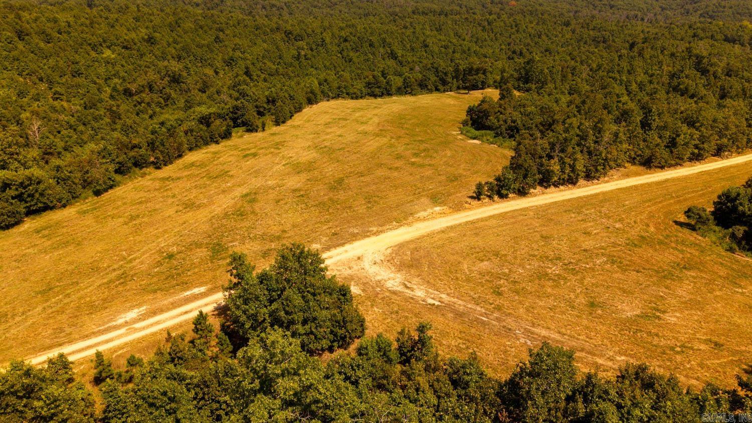 TBD County Road 443  Birch Tree, MO