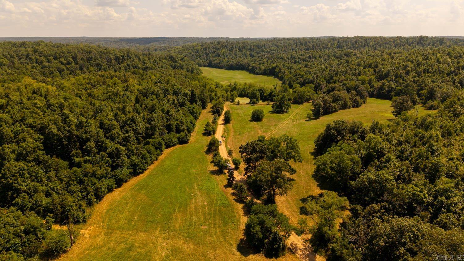 TBD County Road 443  Birch Tree, MO