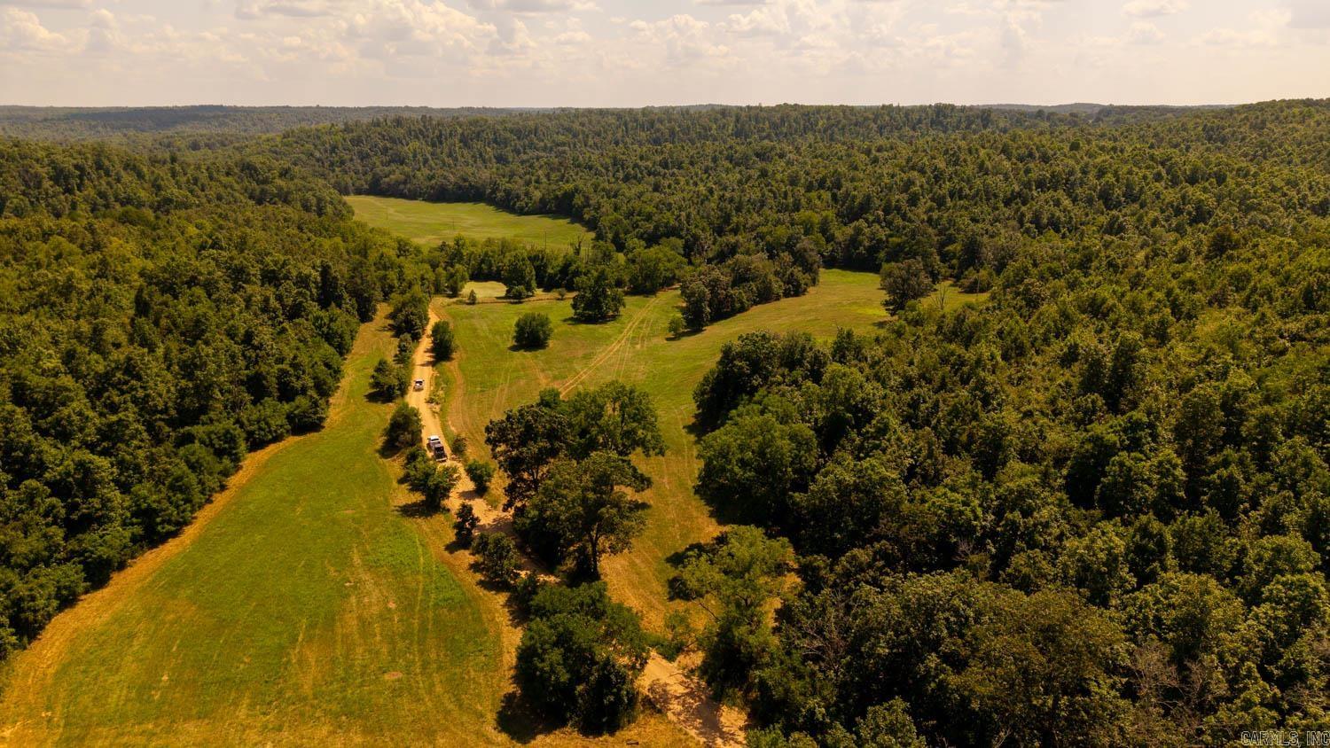 TBD County Road 443  Birch Tree, MO