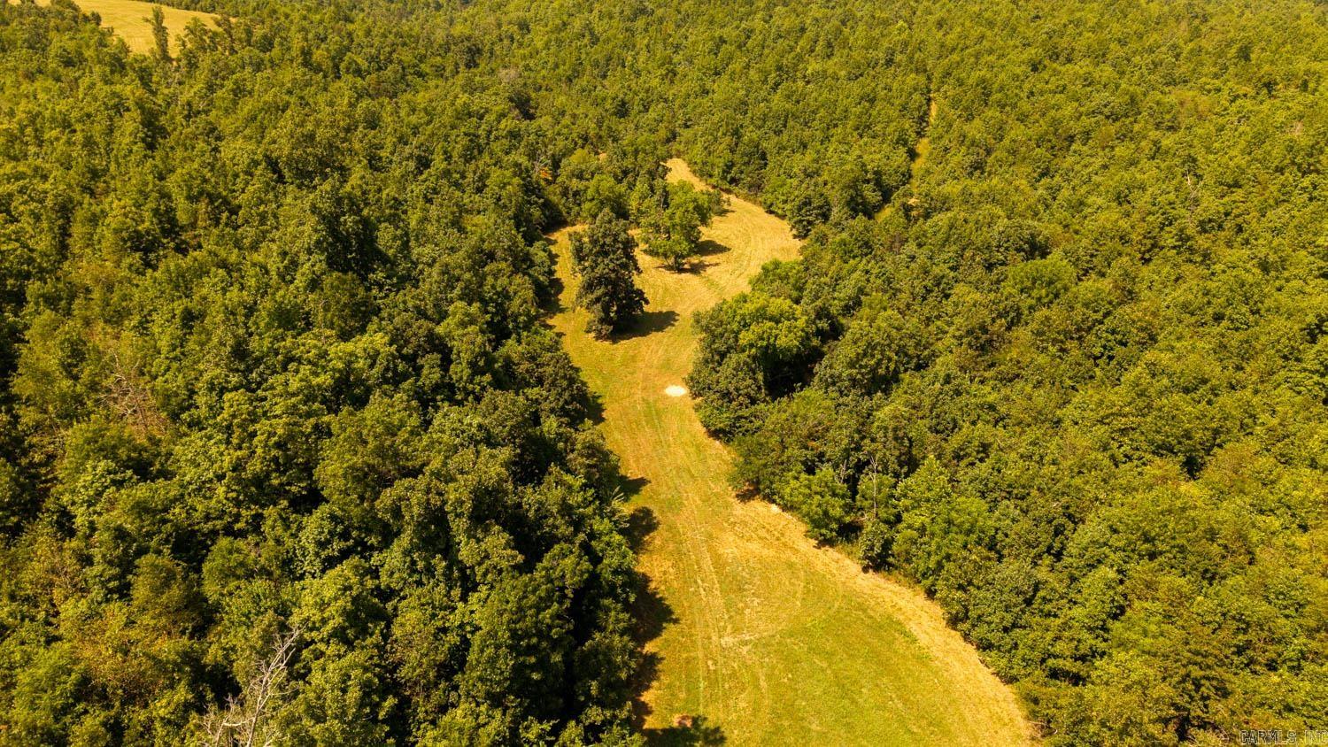 TBD County Road 443  Birch Tree, MO