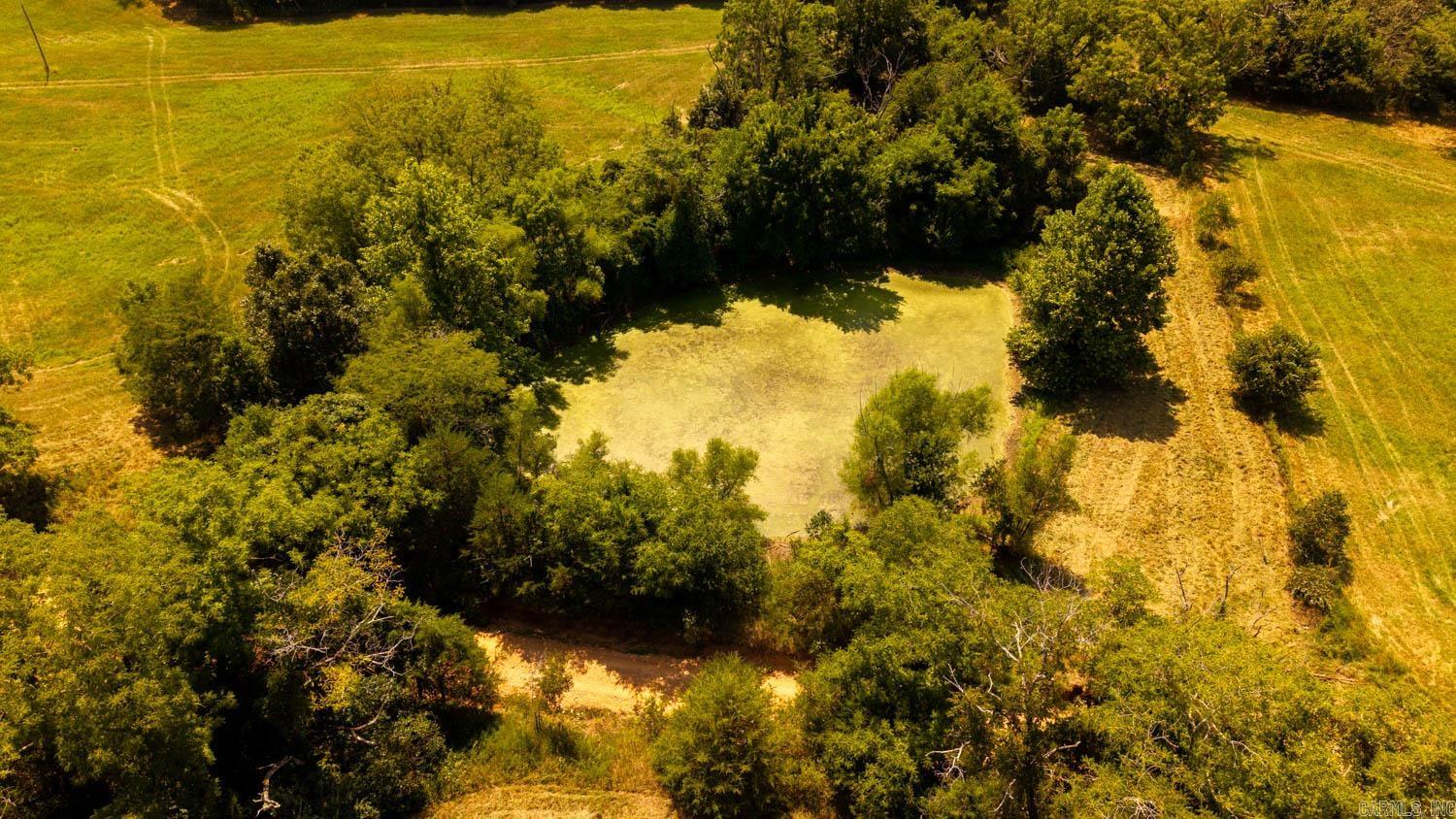 TBD County Road 443  Birch Tree, MO