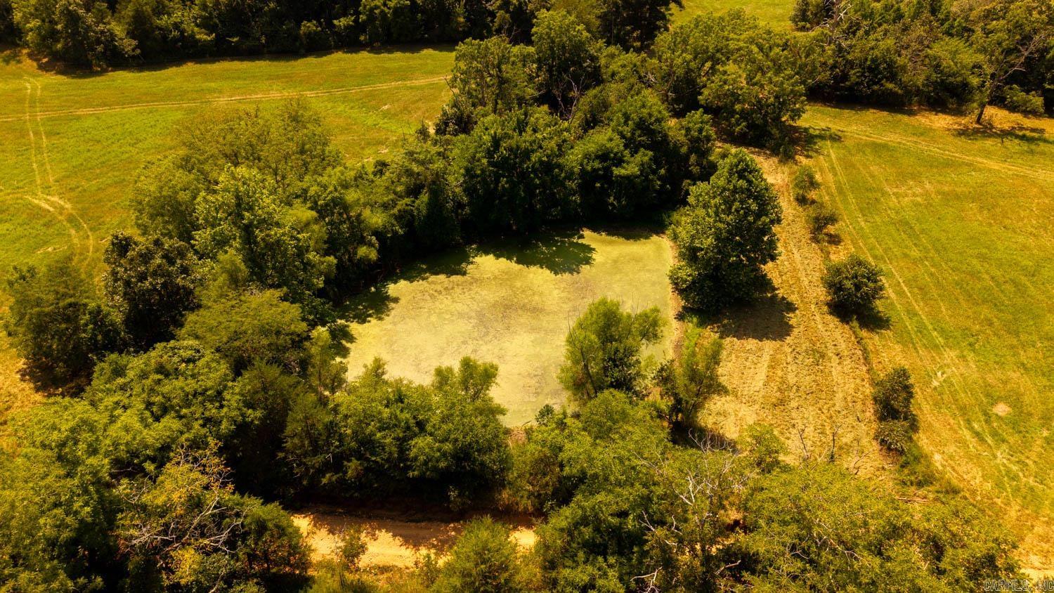 TBD County Road 443  Birch Tree, MO