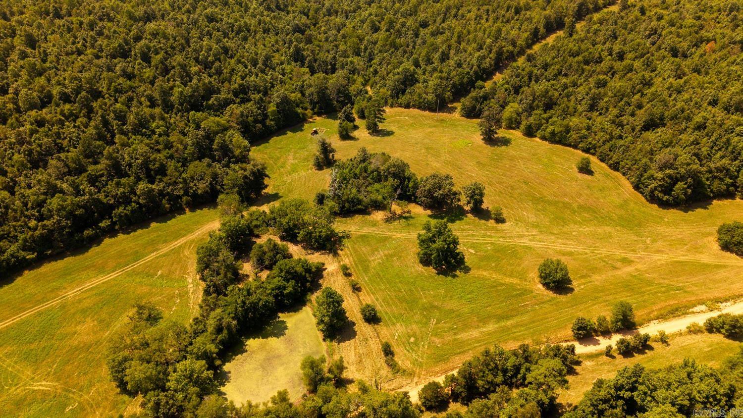 TBD County Road 443  Birch Tree, MO