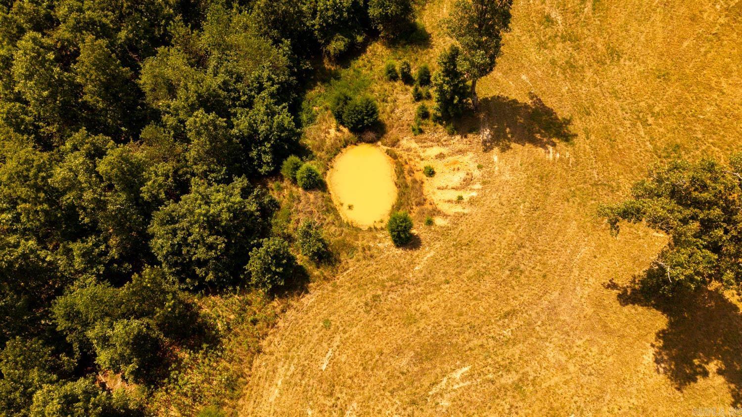 TBD County Road 443  Birch Tree, MO