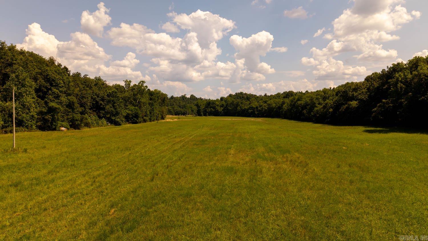 TBD County Road 443  Birch Tree, MO