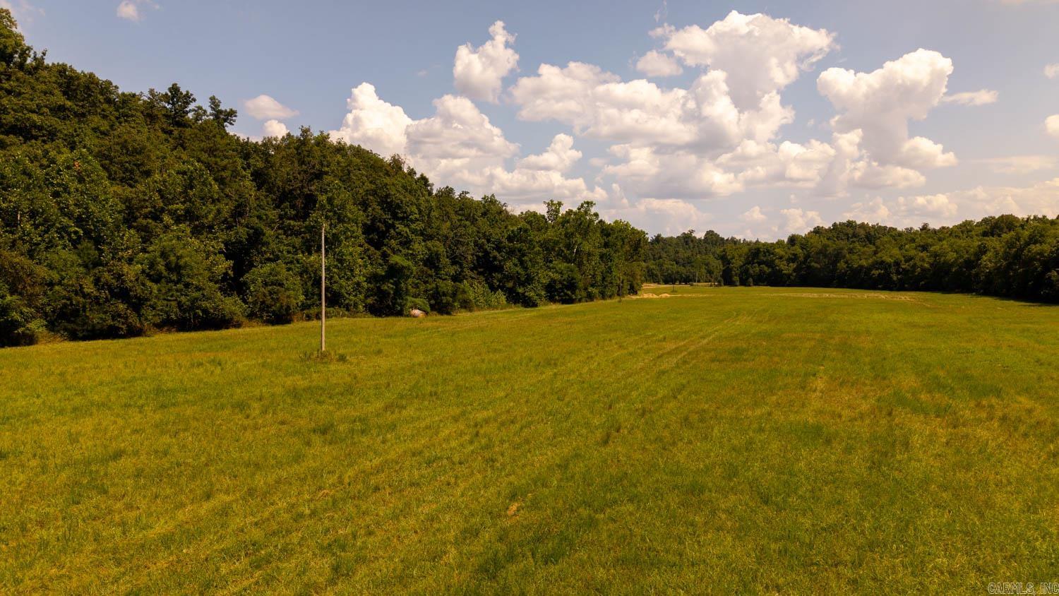 TBD County Road 443  Birch Tree, MO