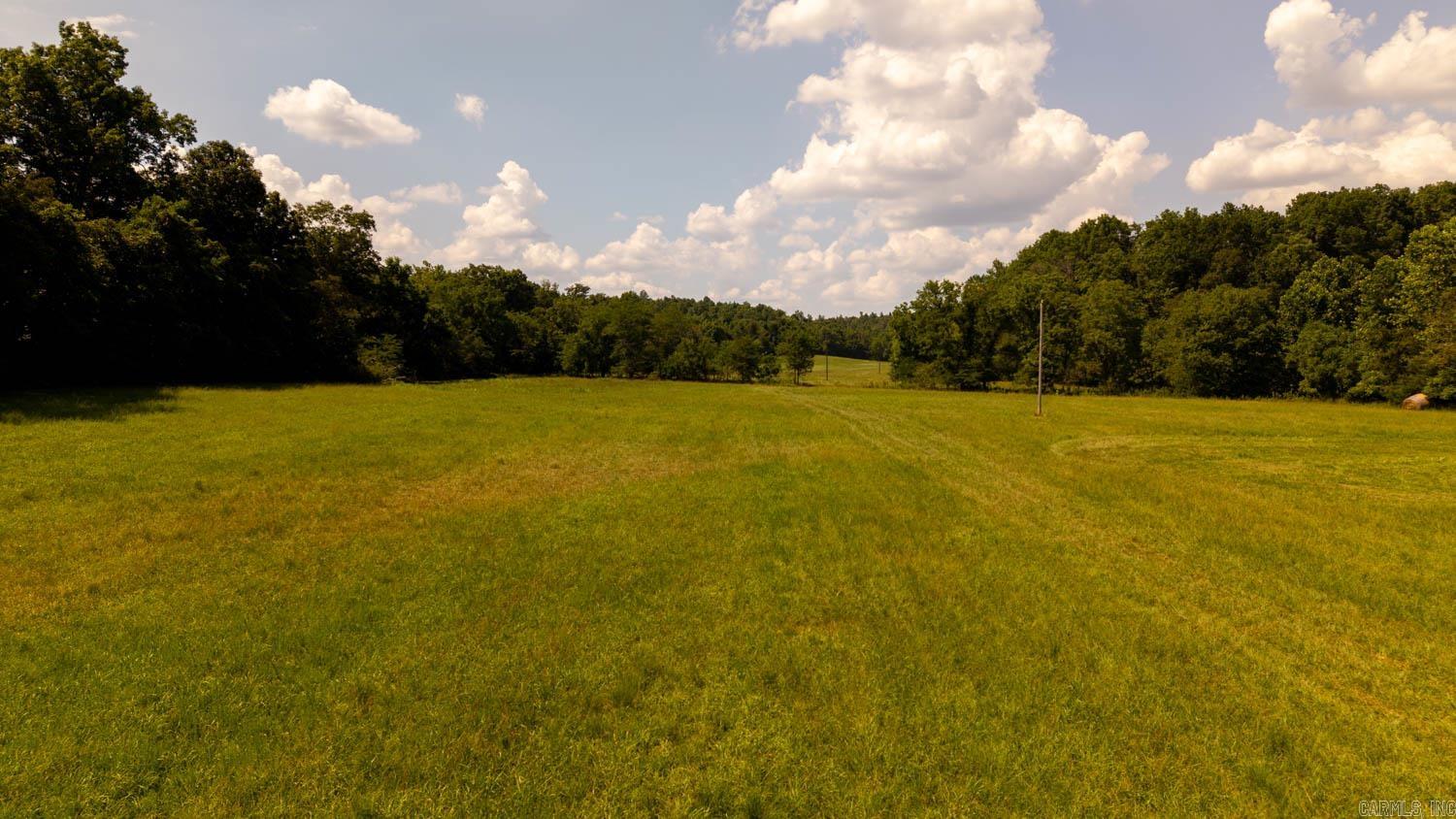 TBD County Road 443  Birch Tree, MO