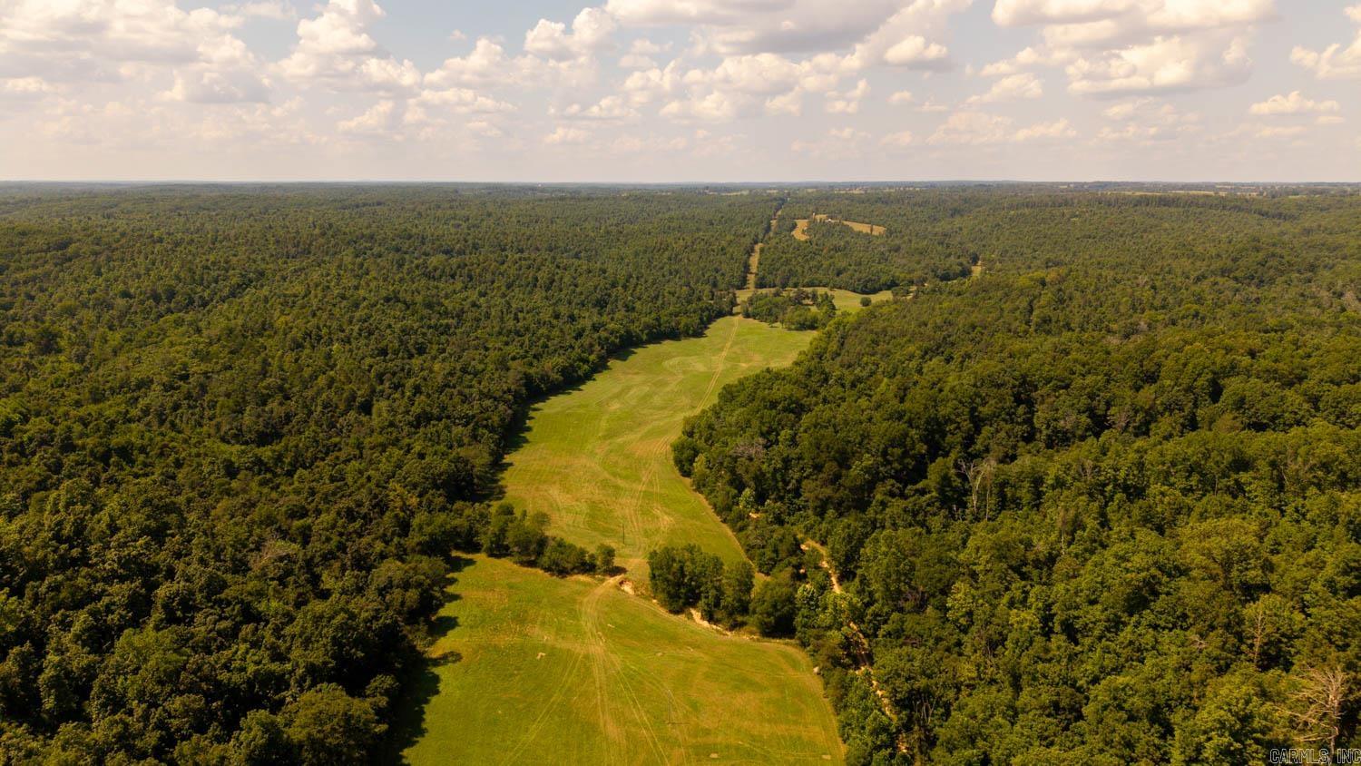 TBD County Road 443  Birch Tree, MO