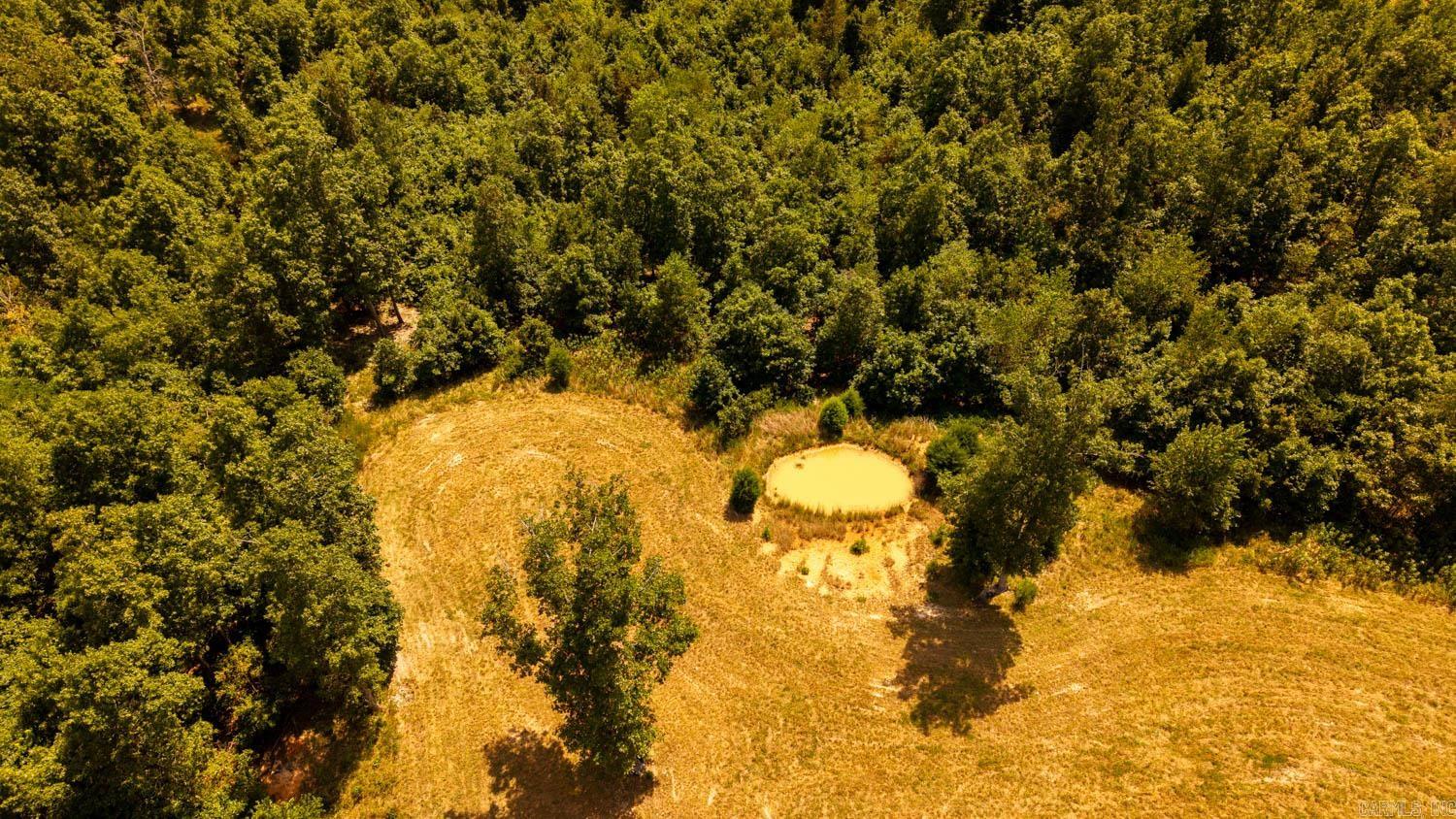 TBD County Road 443  Birch Tree, MO