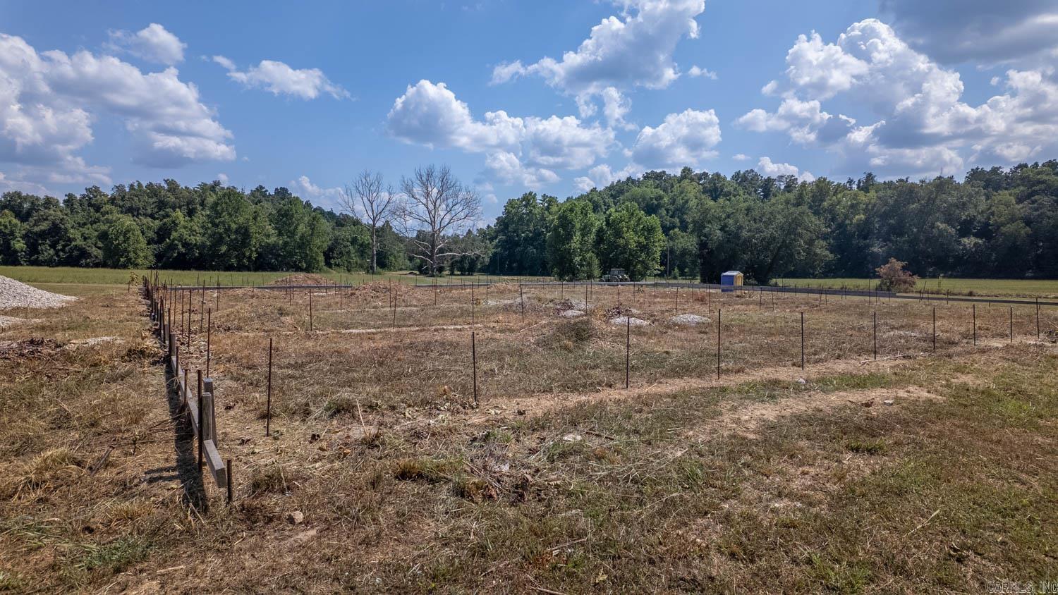 TBD County Road 443  Birch Tree, MO