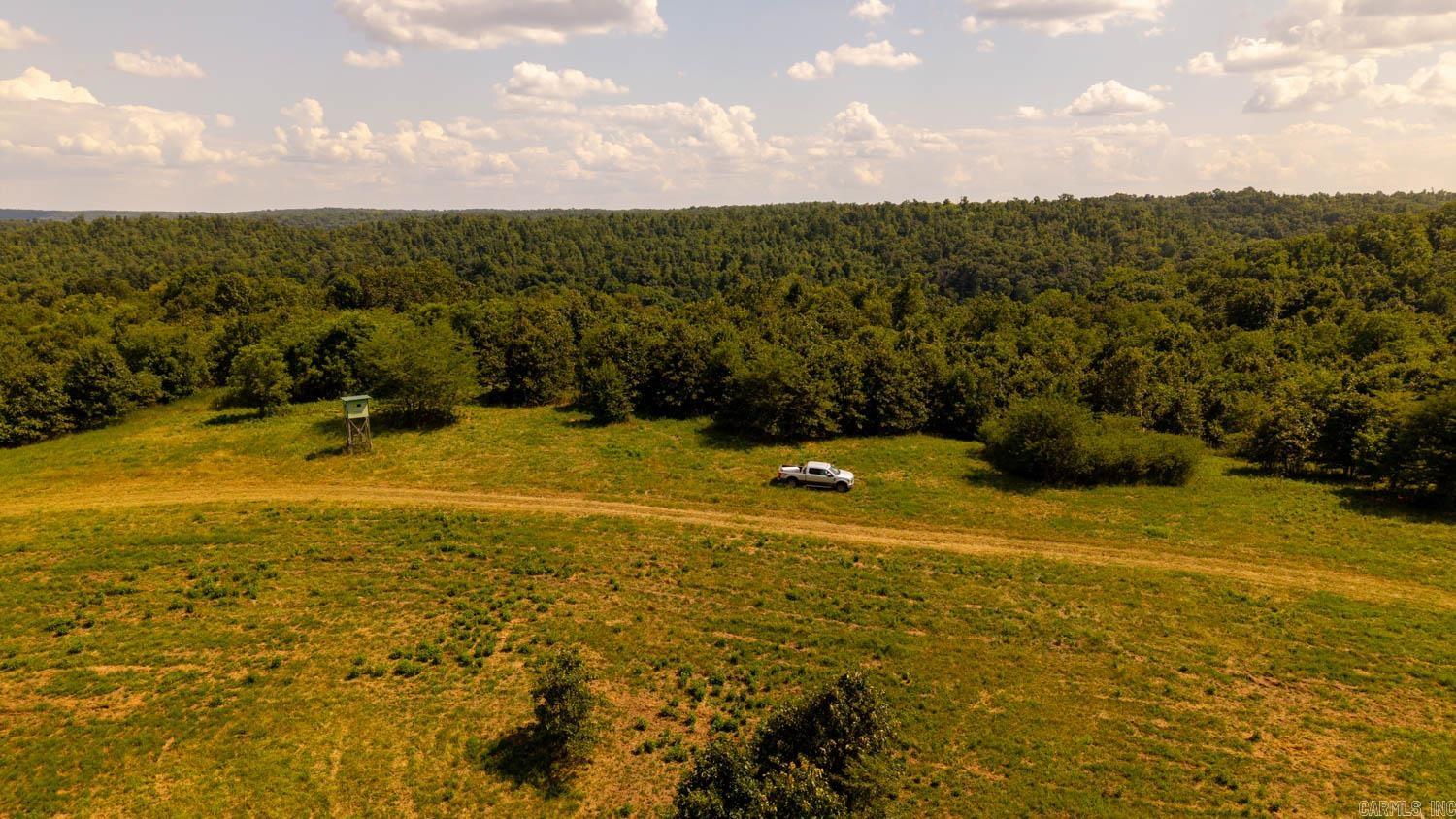 TBD County Road 443  Birch Tree, MO