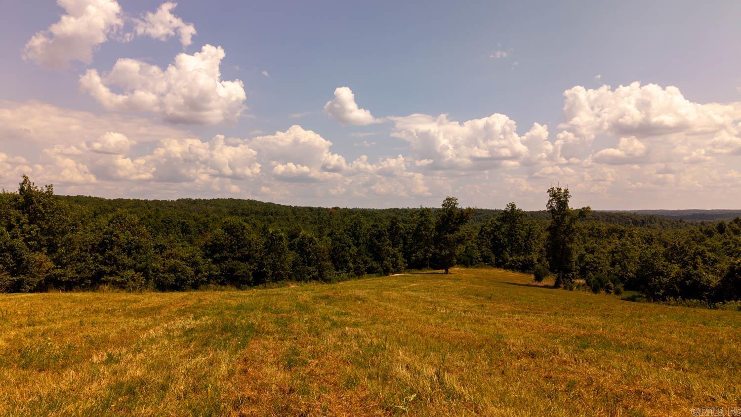 TBD County Road 443  Birch Tree, MO