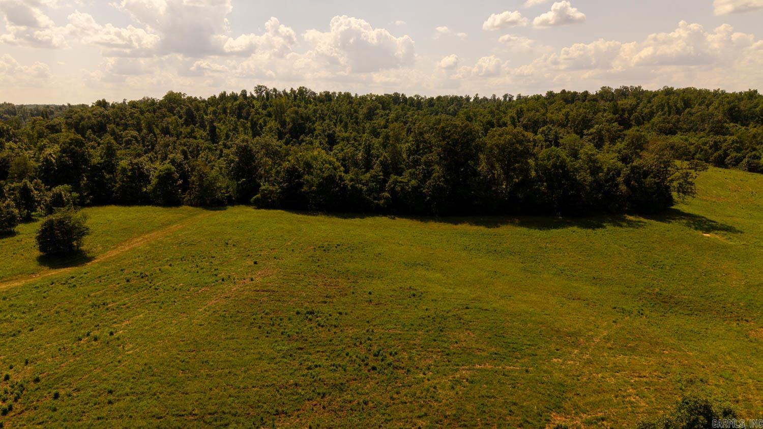 TBD County Road 443  Birch Tree, MO