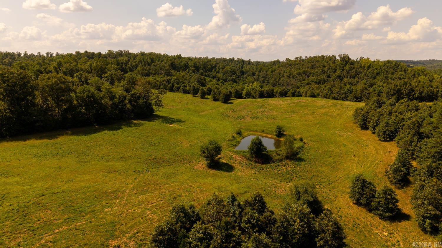 TBD County Road 443  Birch Tree, MO