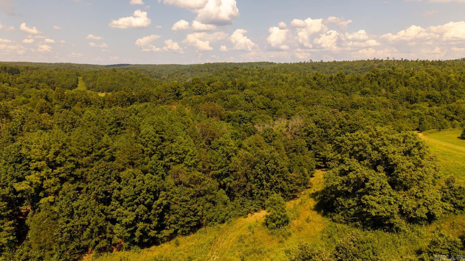 TBD County Road 443  Birch Tree, MO