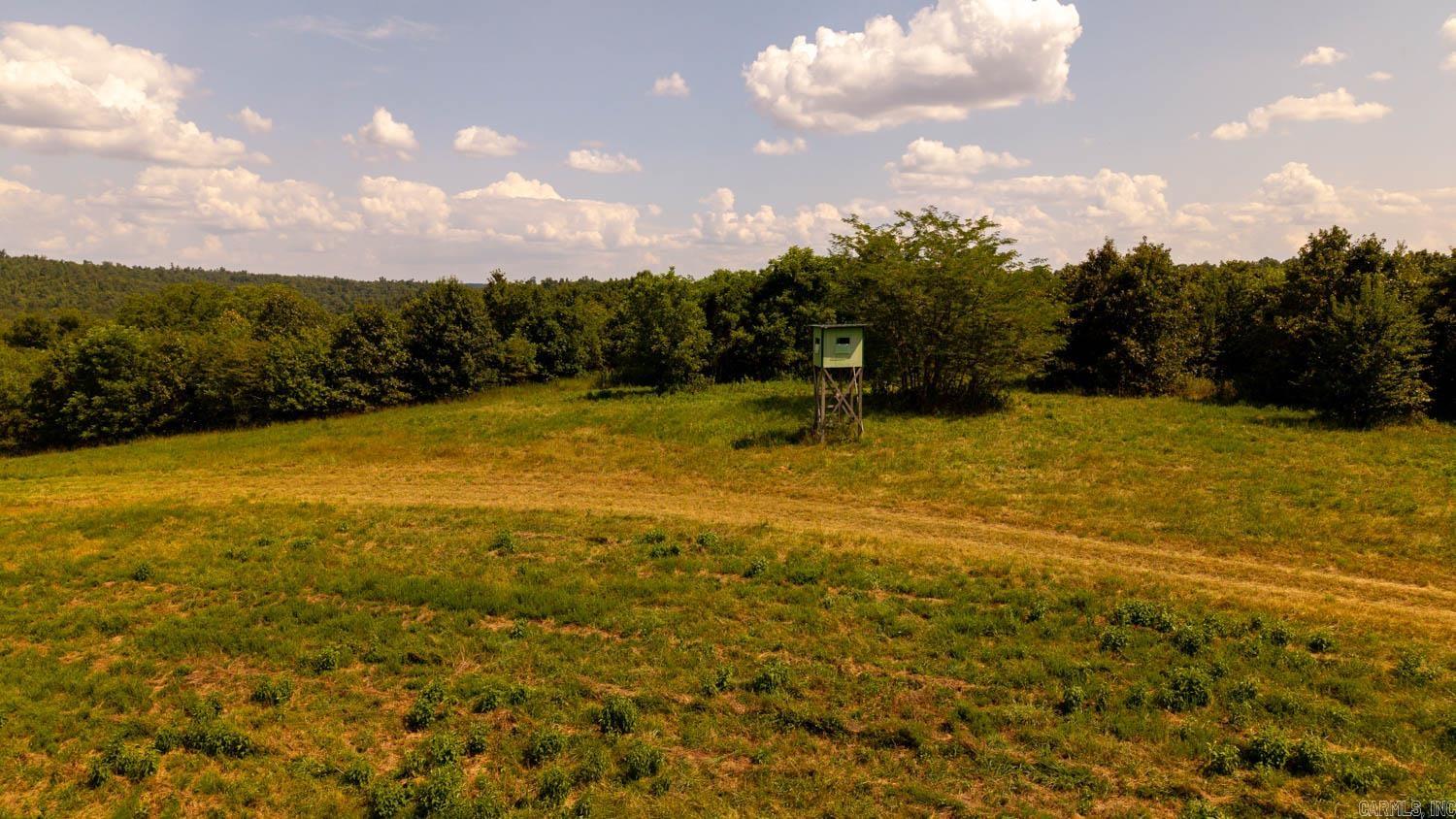 TBD County Road 443  Birch Tree, MO