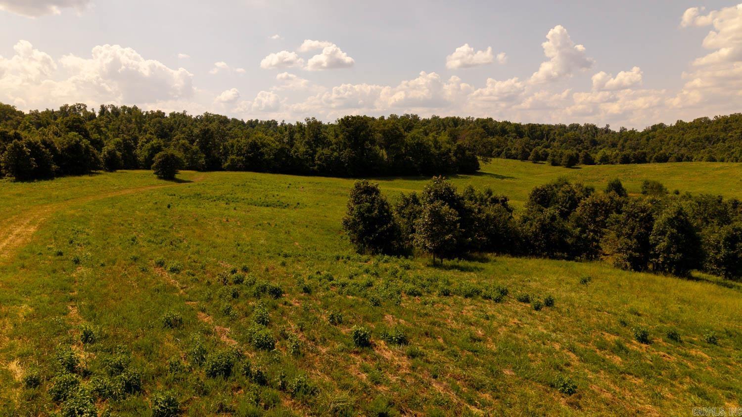 TBD County Road 443  Birch Tree, MO