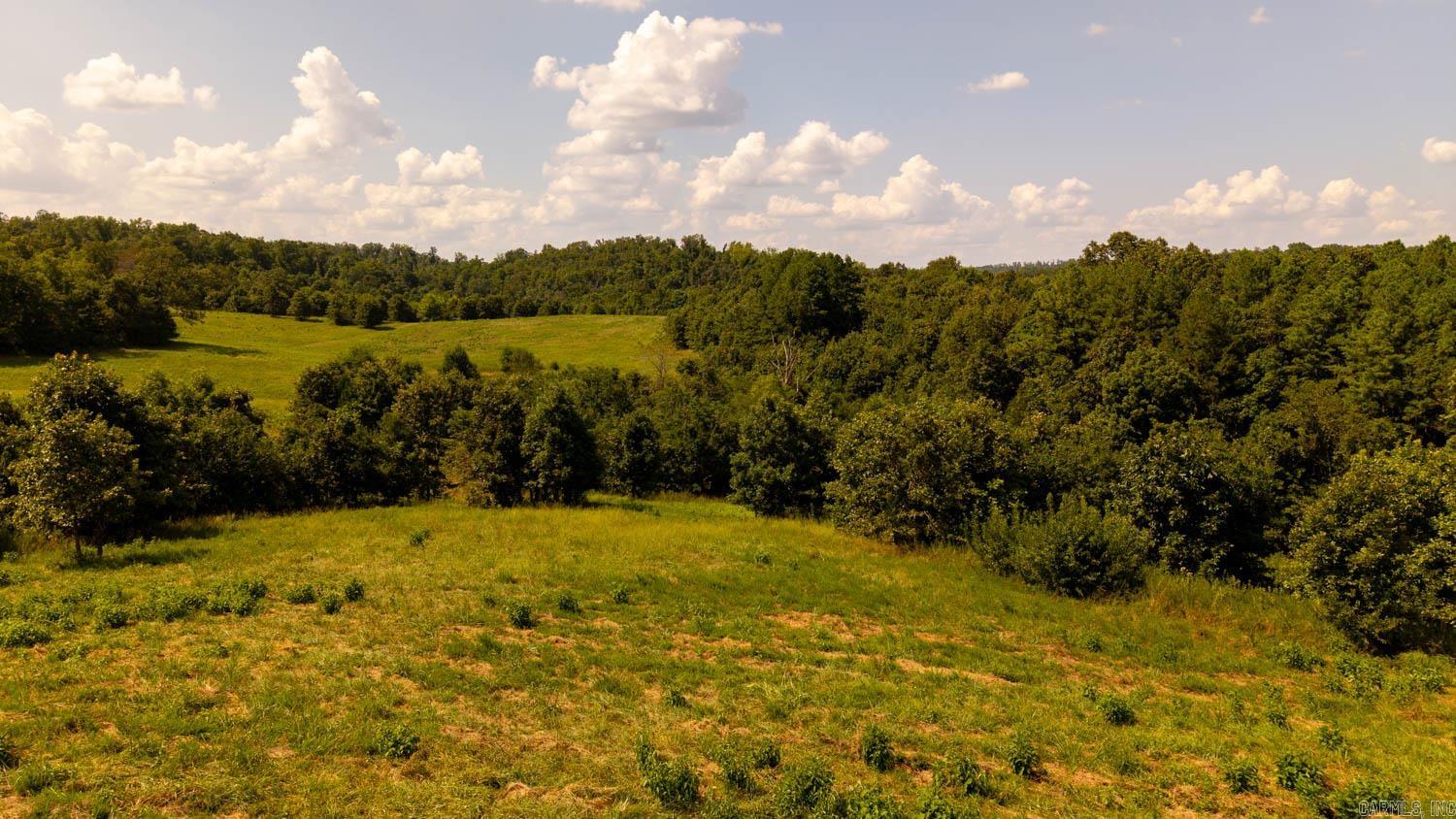 TBD County Road 443  Birch Tree, MO