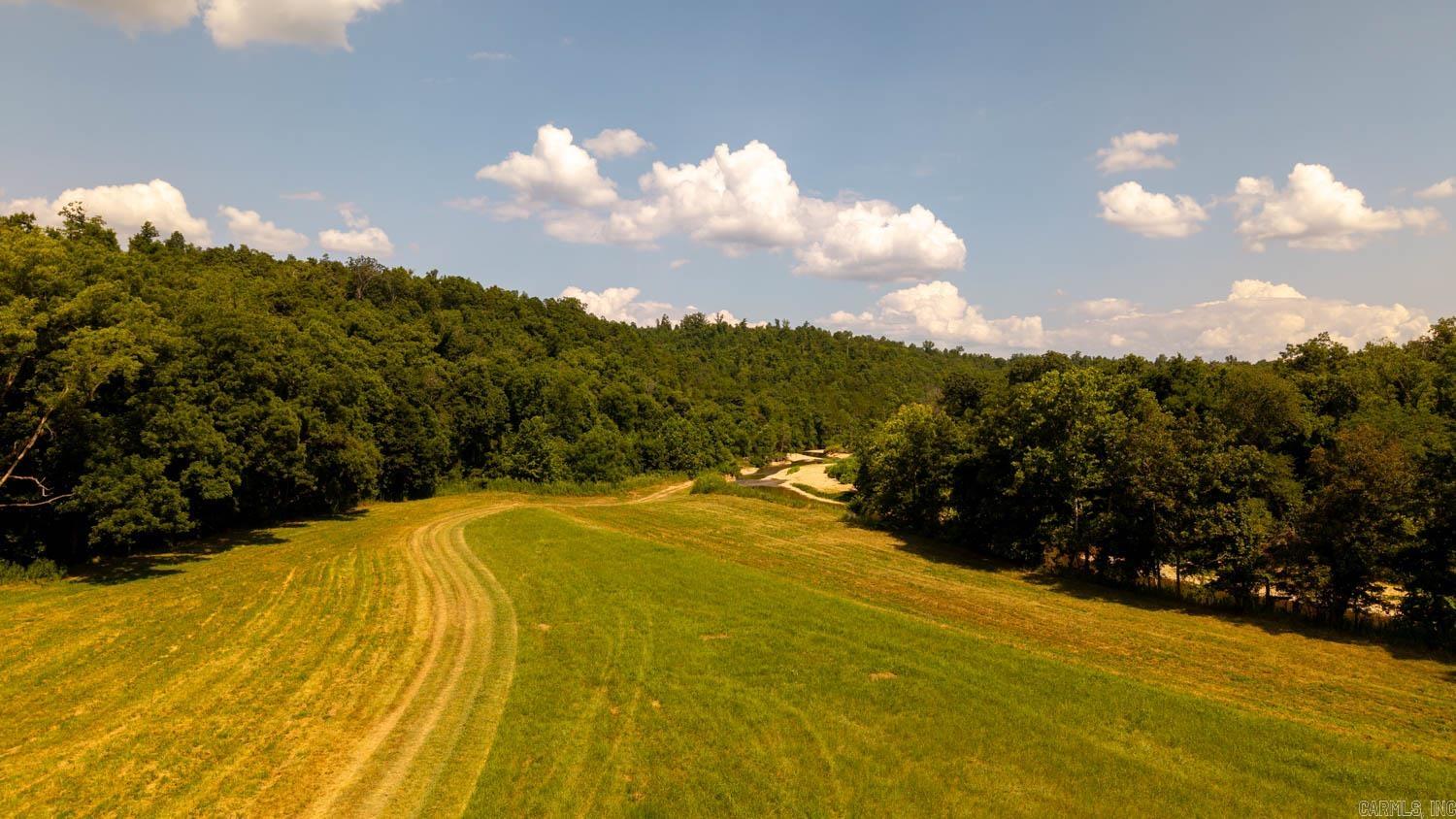 TBD County Road 443  Birch Tree, MO