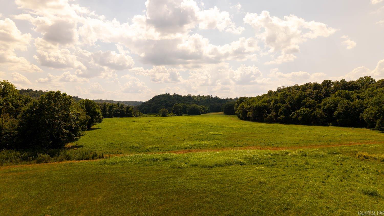 TBD County Road 443  Birch Tree, MO