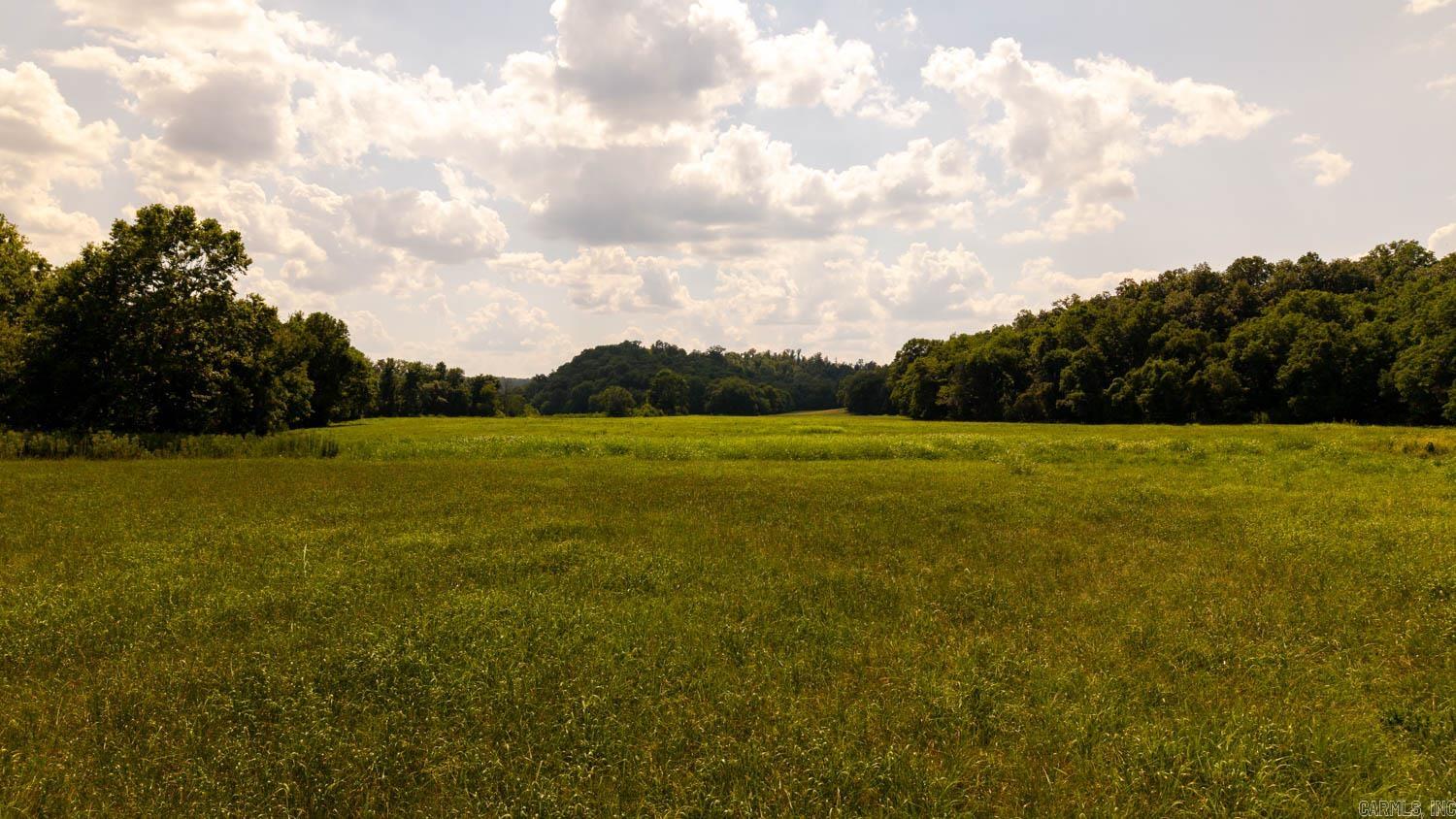 TBD County Road 443  Birch Tree, MO