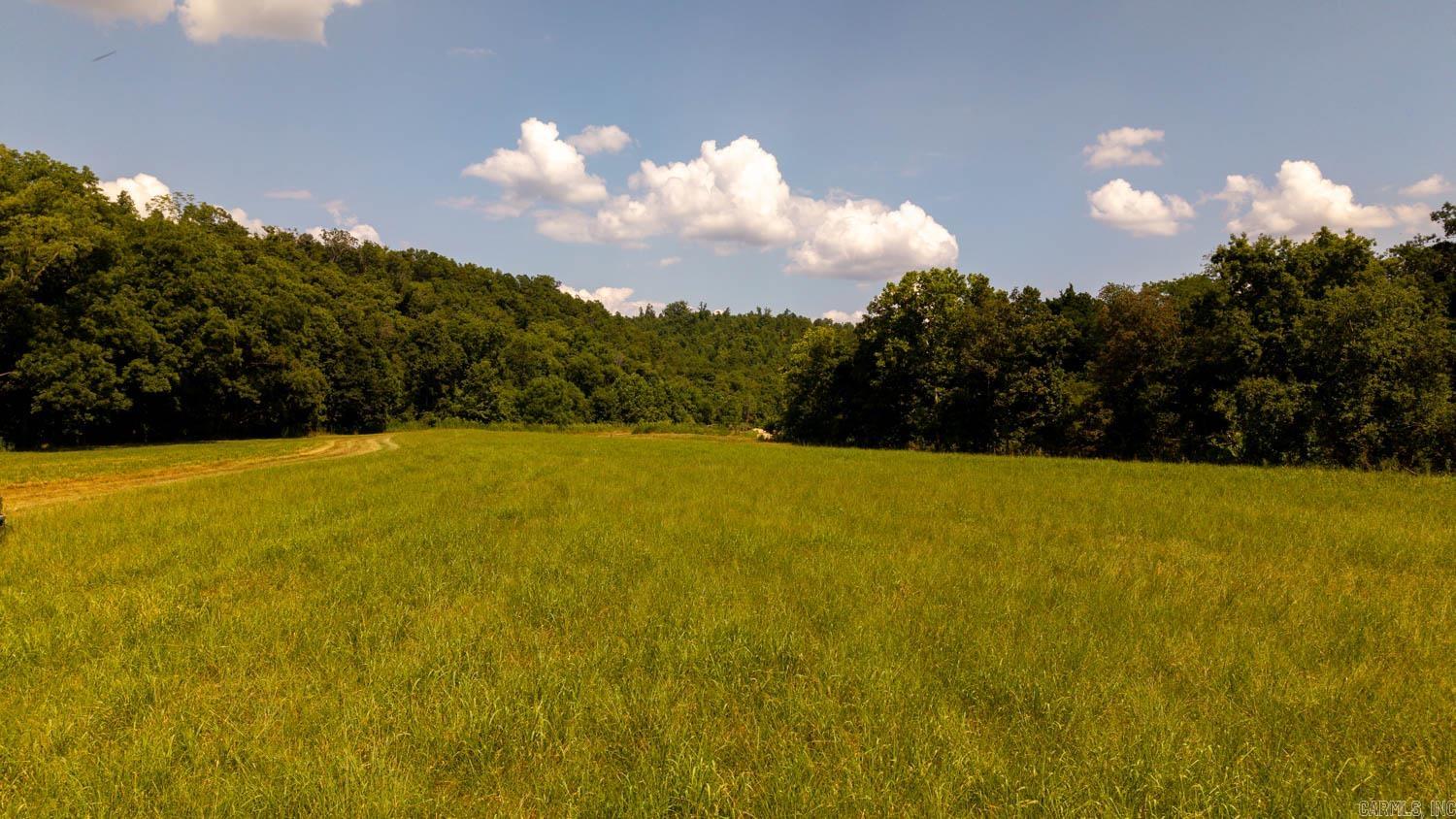 TBD County Road 443  Birch Tree, MO