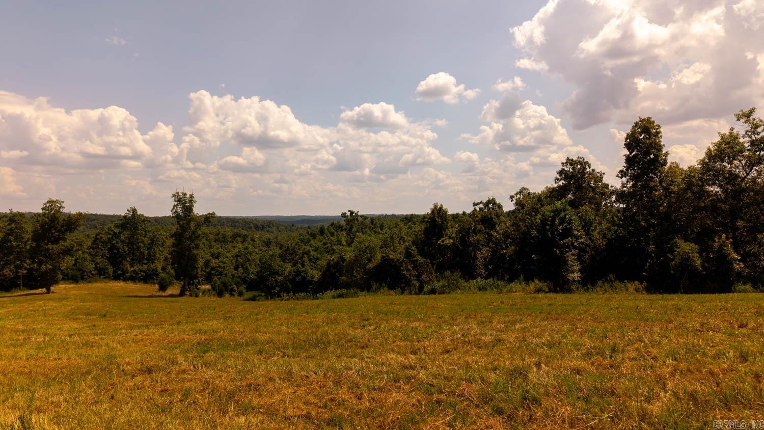 TBD County Road 443  Birch Tree, MO