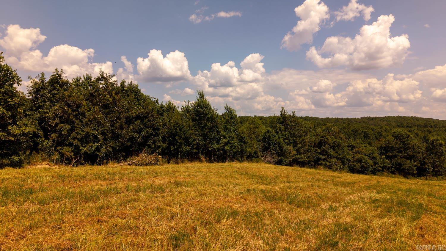 TBD County Road 443  Birch Tree, MO