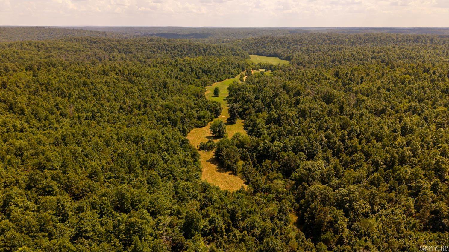 TBD County Road 443  Birch Tree, MO