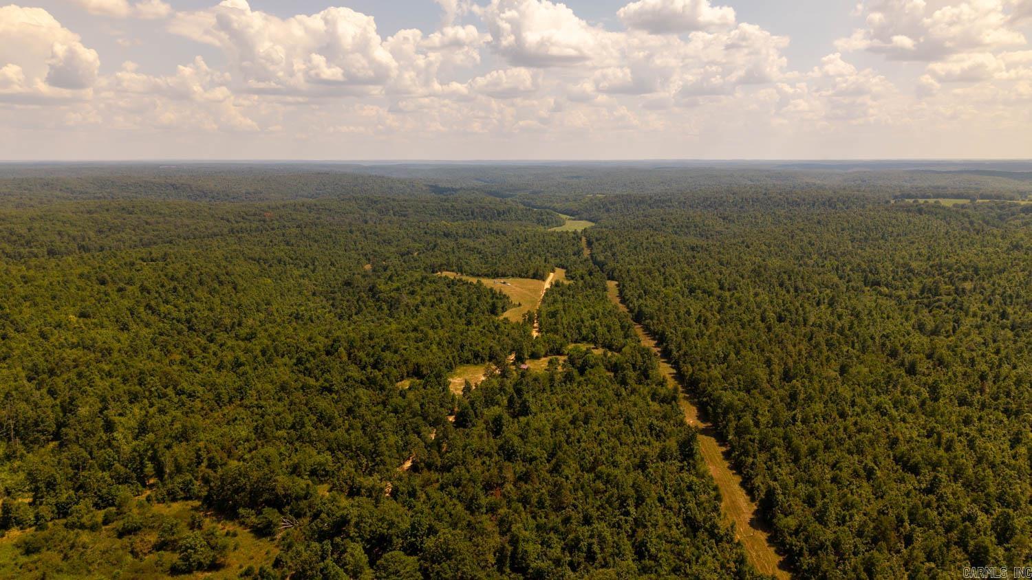 TBD County Road 443  Birch Tree, MO