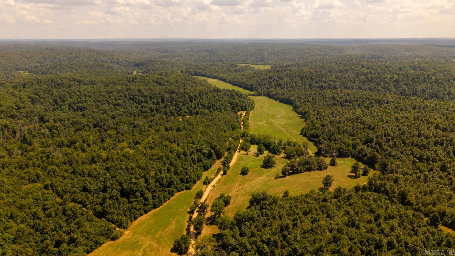 TBD County Road 443  Birch Tree, MO