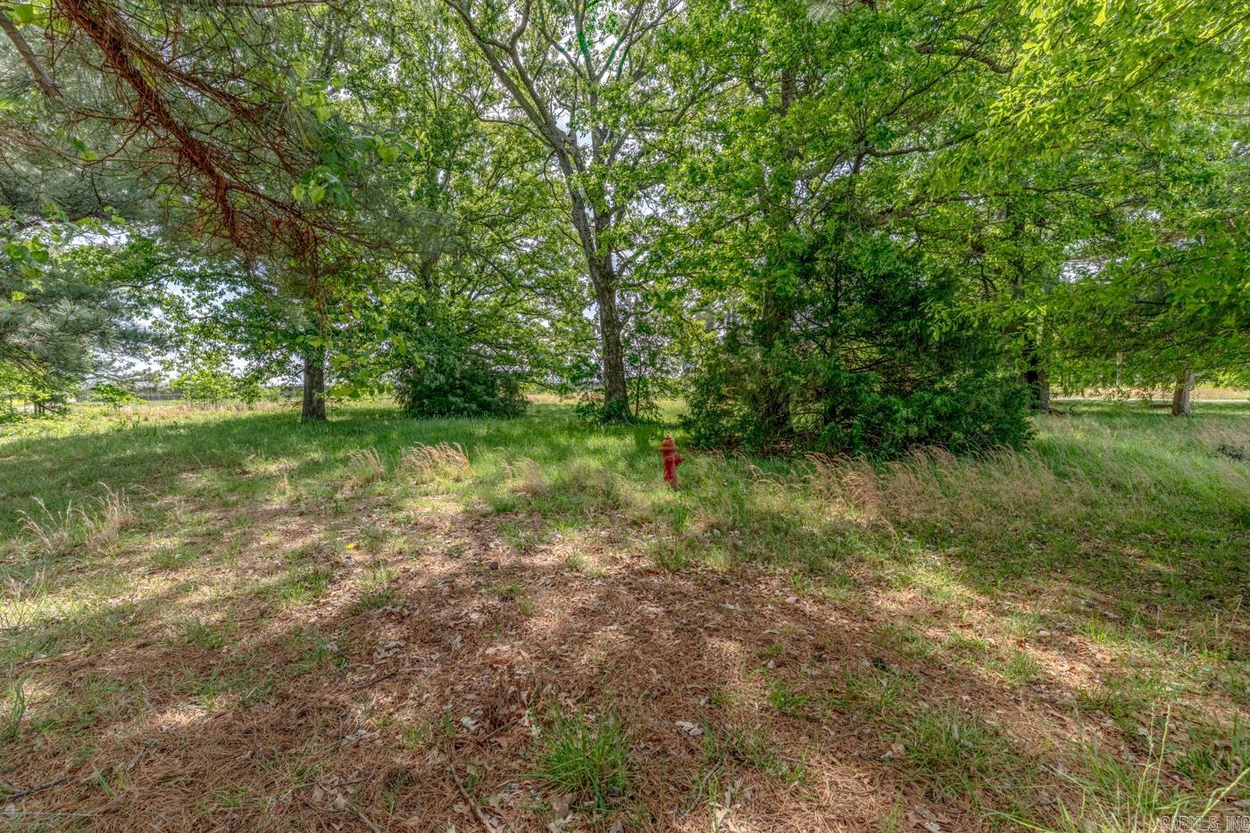 2606 Nestle way  Jonesboro, AR