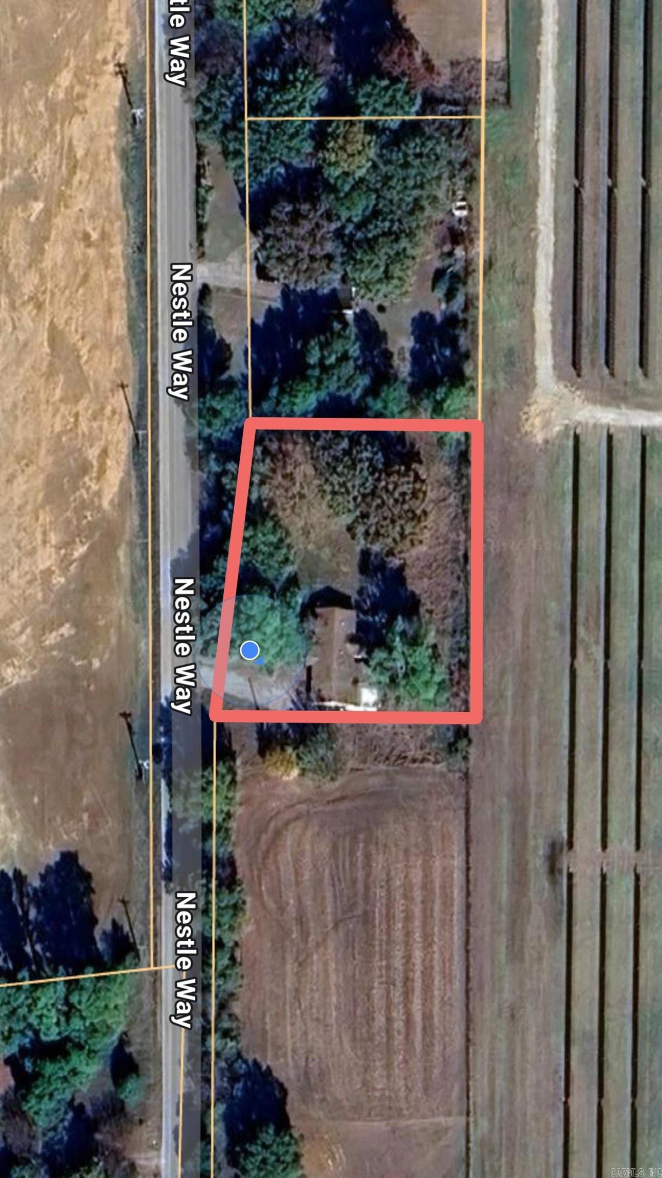 2606 Nestle way  Jonesboro, AR