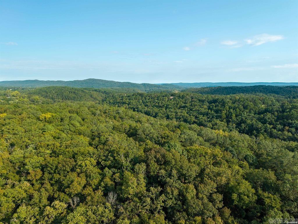 TBD Ridgeway  Hot Springs, AR