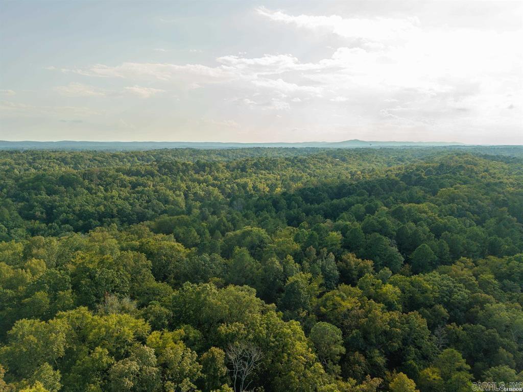 TBD Ridgeway  Hot Springs, AR