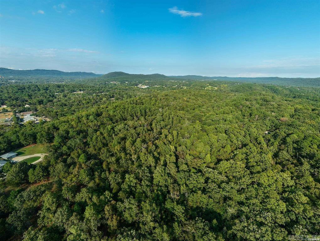 TBD Ridgeway  Hot Springs, AR