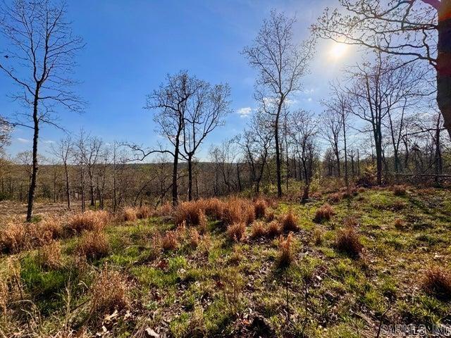  Antioch  Cave City, AR