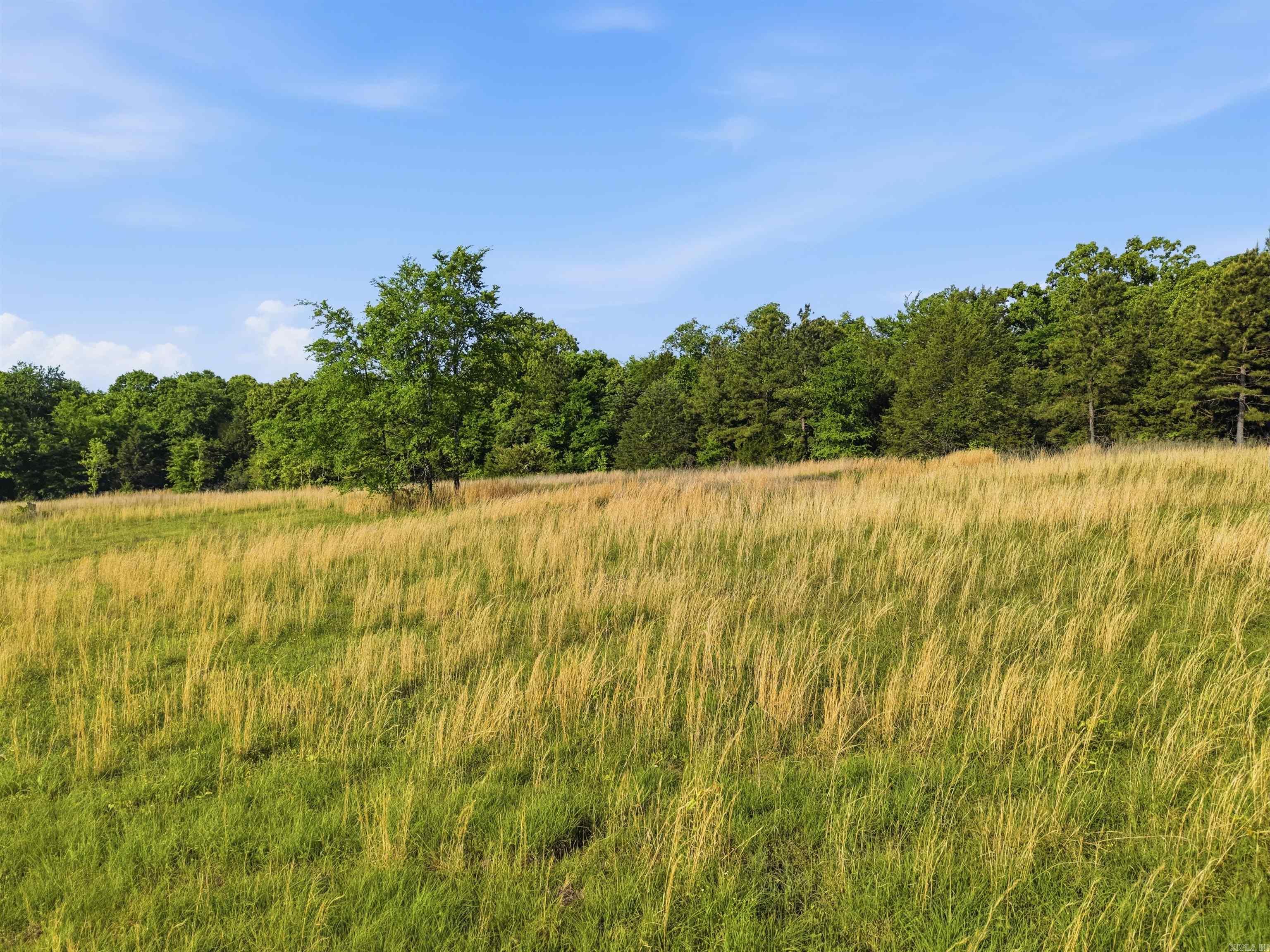 TBD Highway 65  Twin Groves, AR