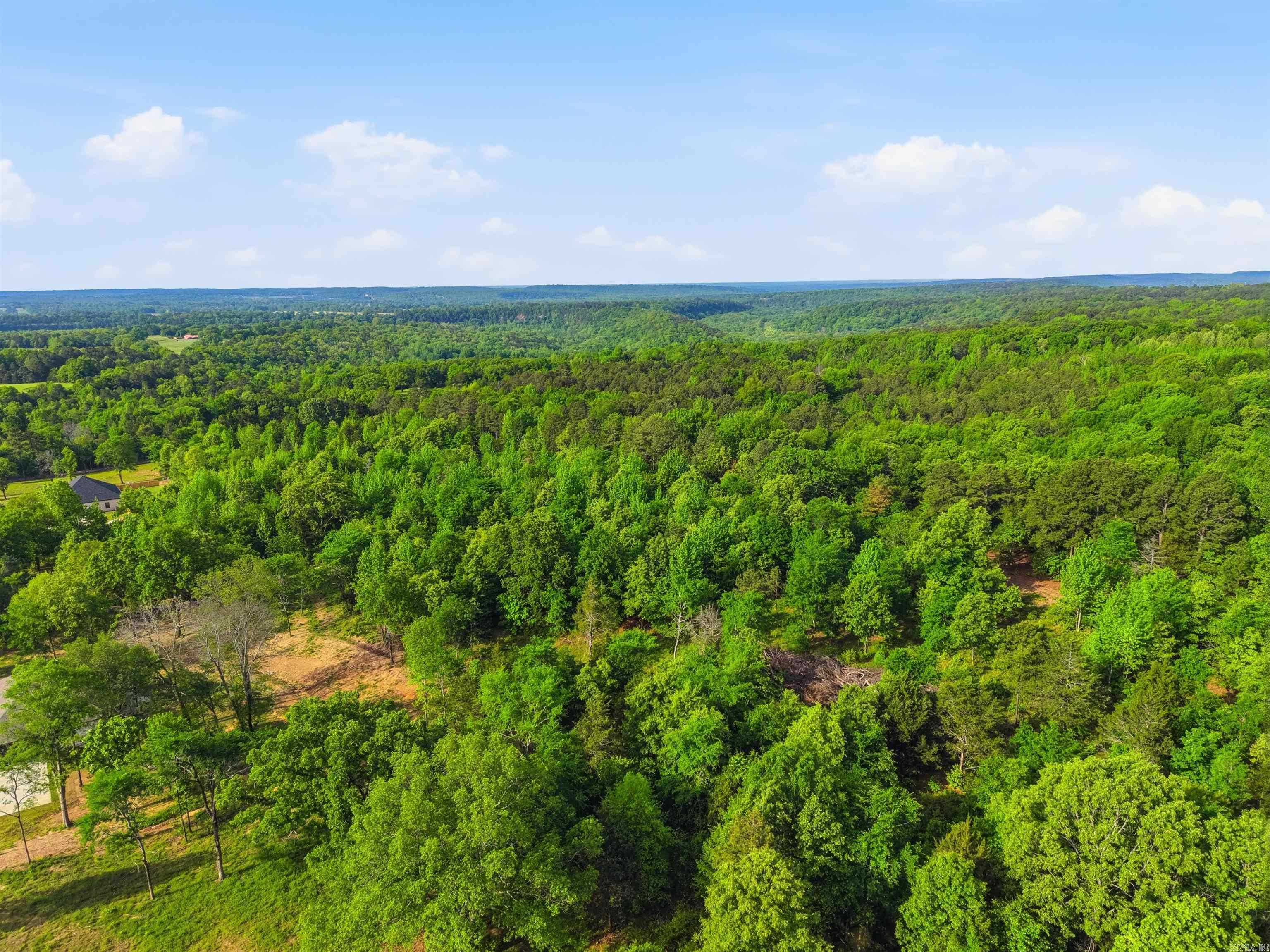 TBD Highway 65  Twin Groves, AR