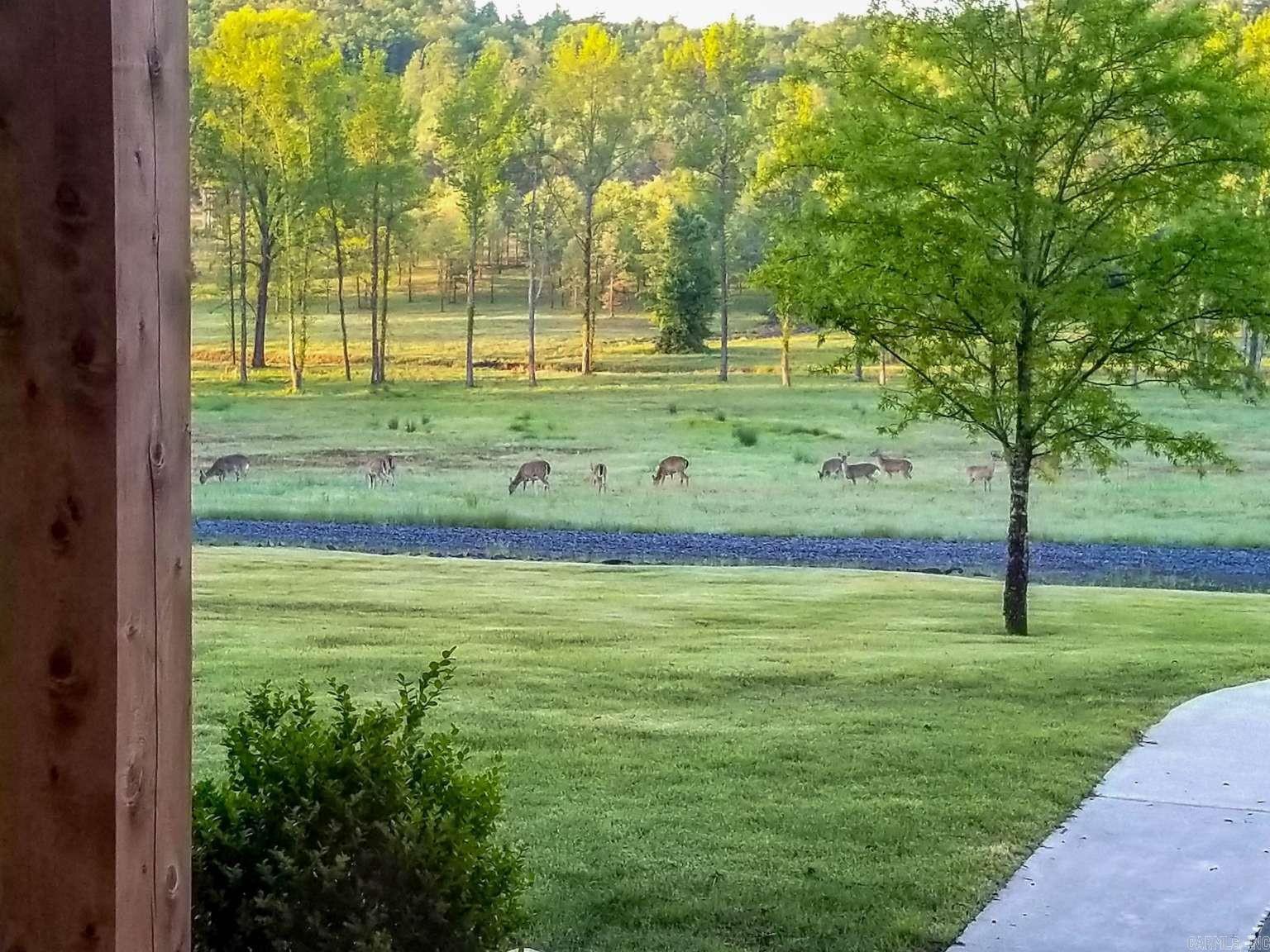 49 Goshen Valley  Mayflower, AR