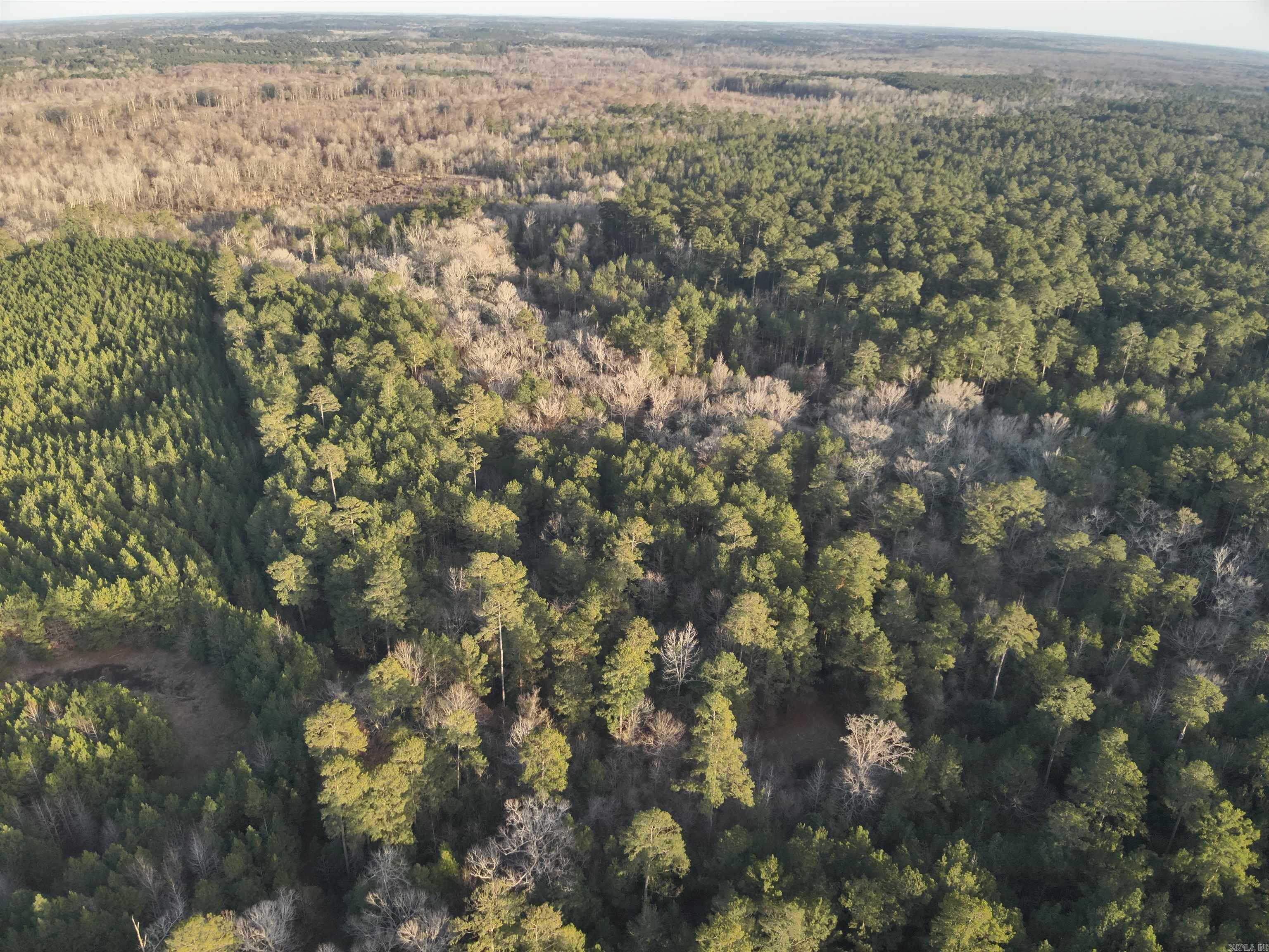 23-19-16 Junction City Tram  Junction City, AR