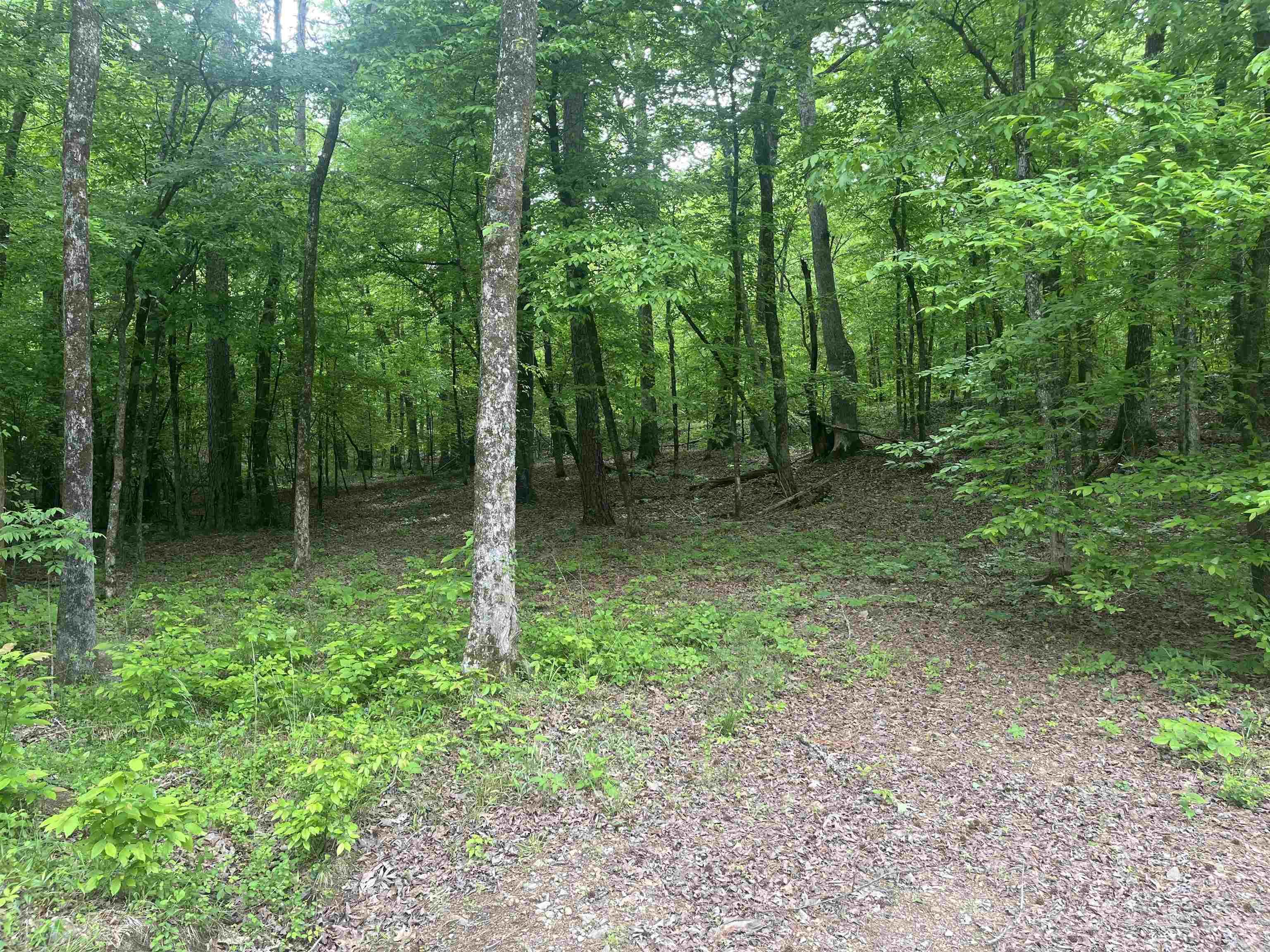 XXX Bear Den  Caddo Gap, AR