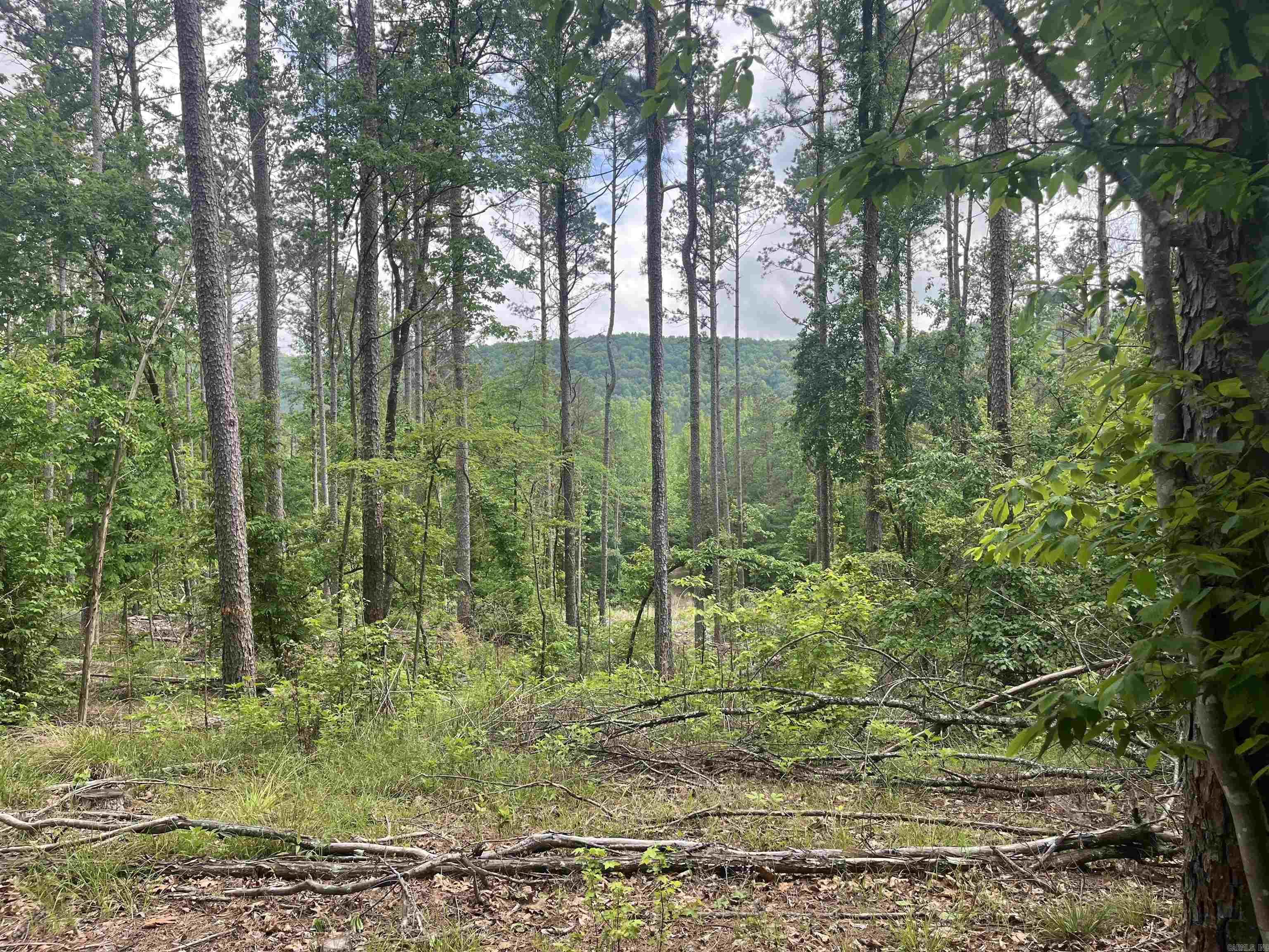 XXX Bear Den  Caddo Gap, AR