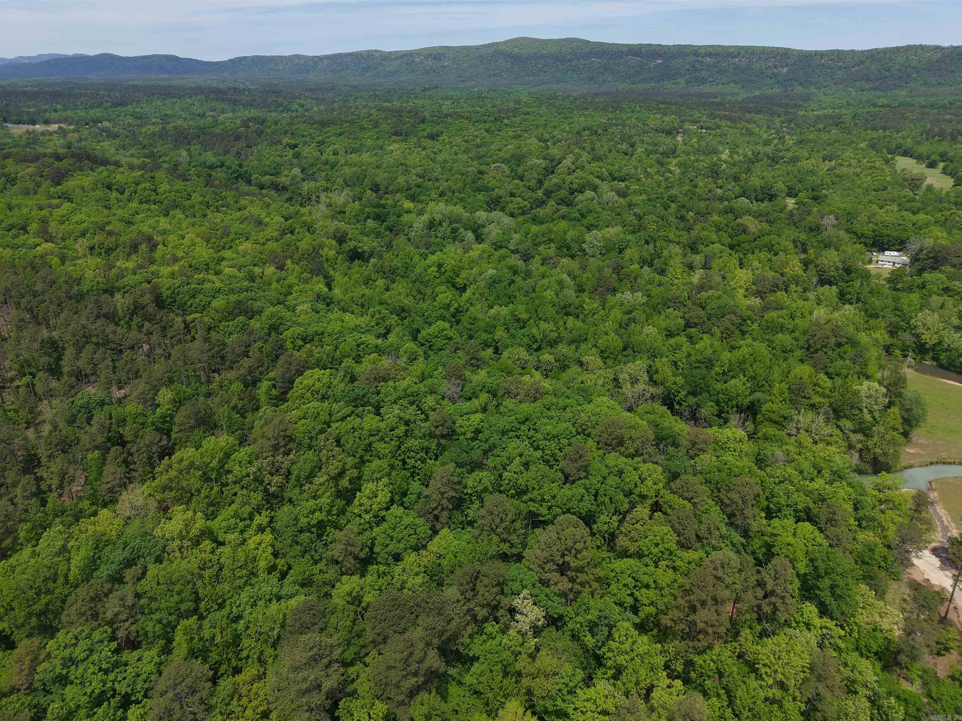 XXX Bear Den  Caddo Gap, AR