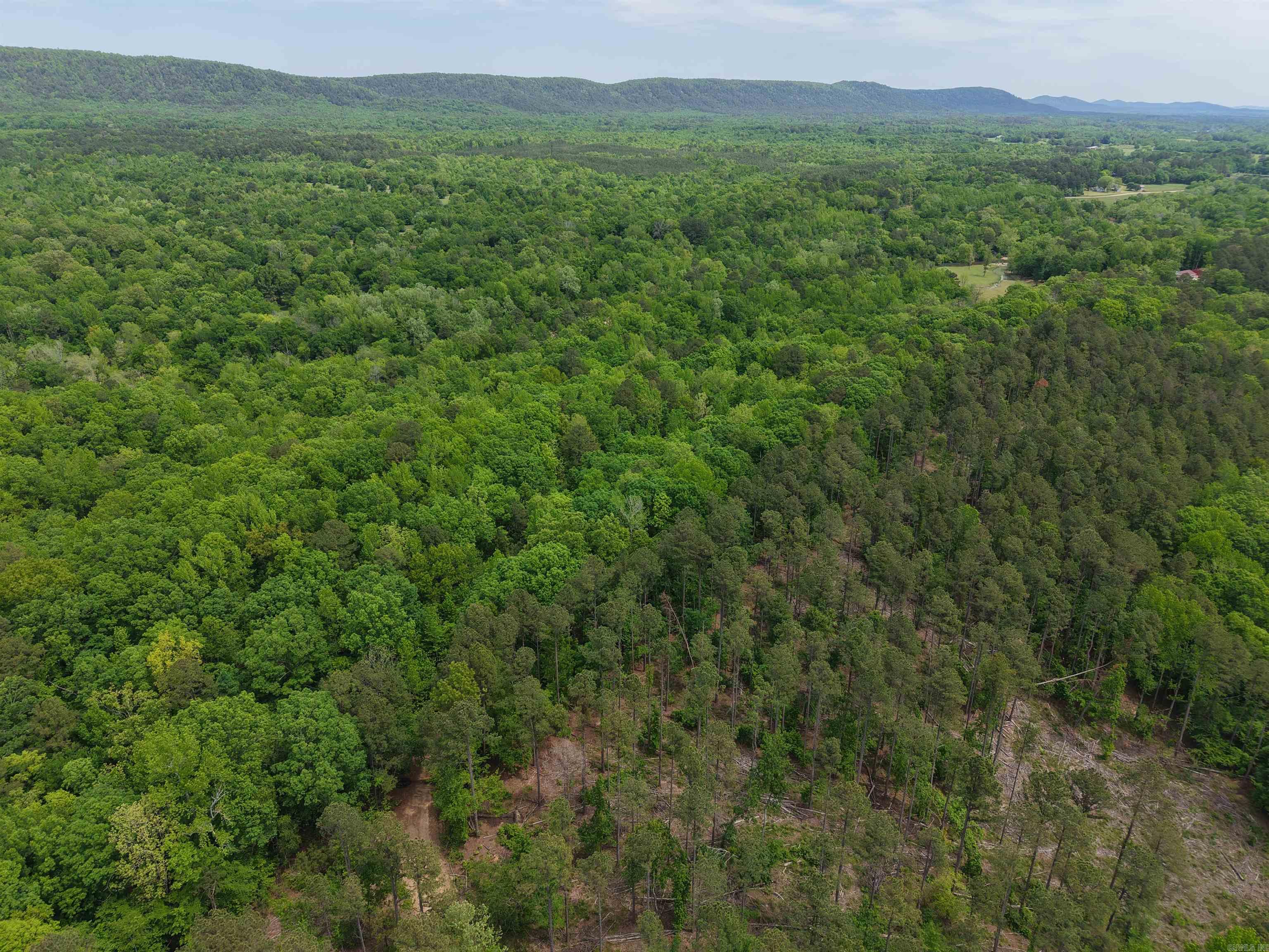 XXX Bear Den  Caddo Gap, AR