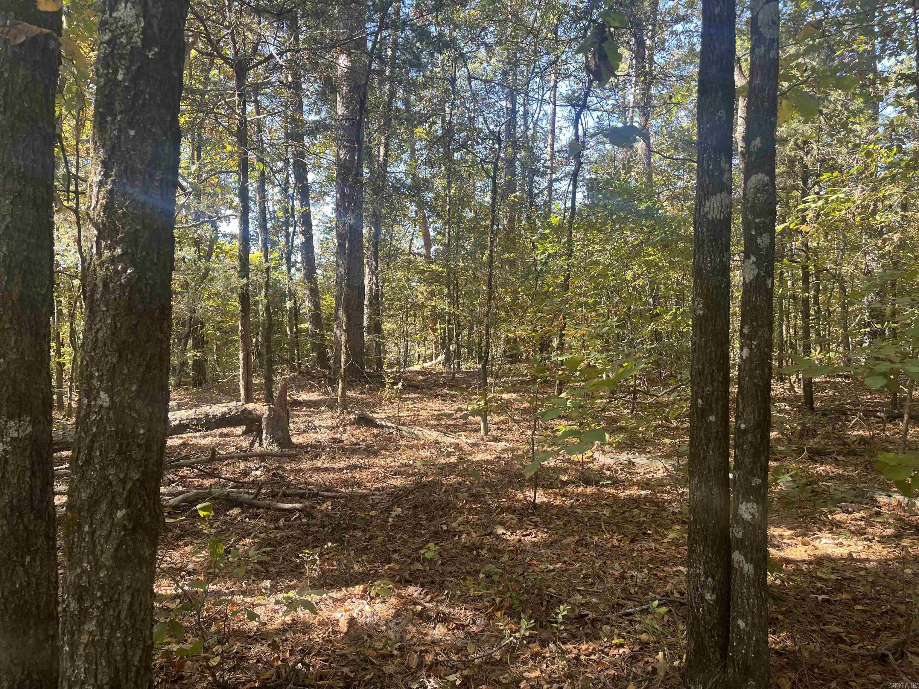 XXX Hwy 8  Norman, AR