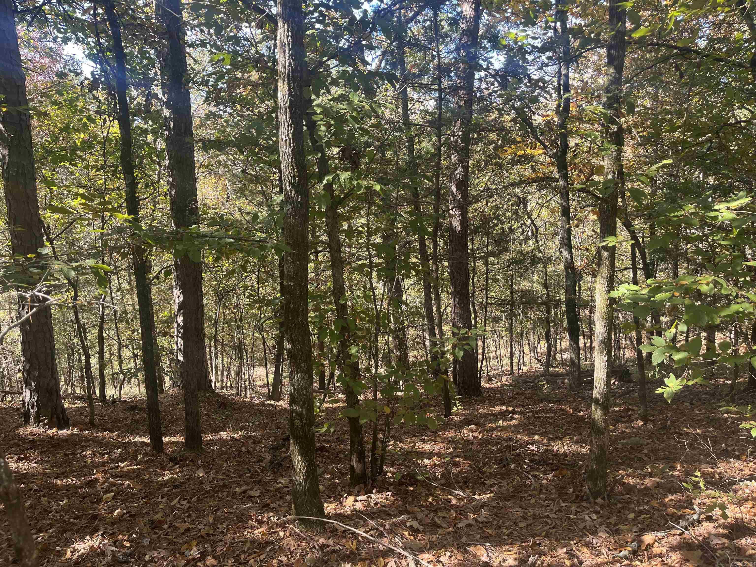 XXX Hwy 8  Norman, AR