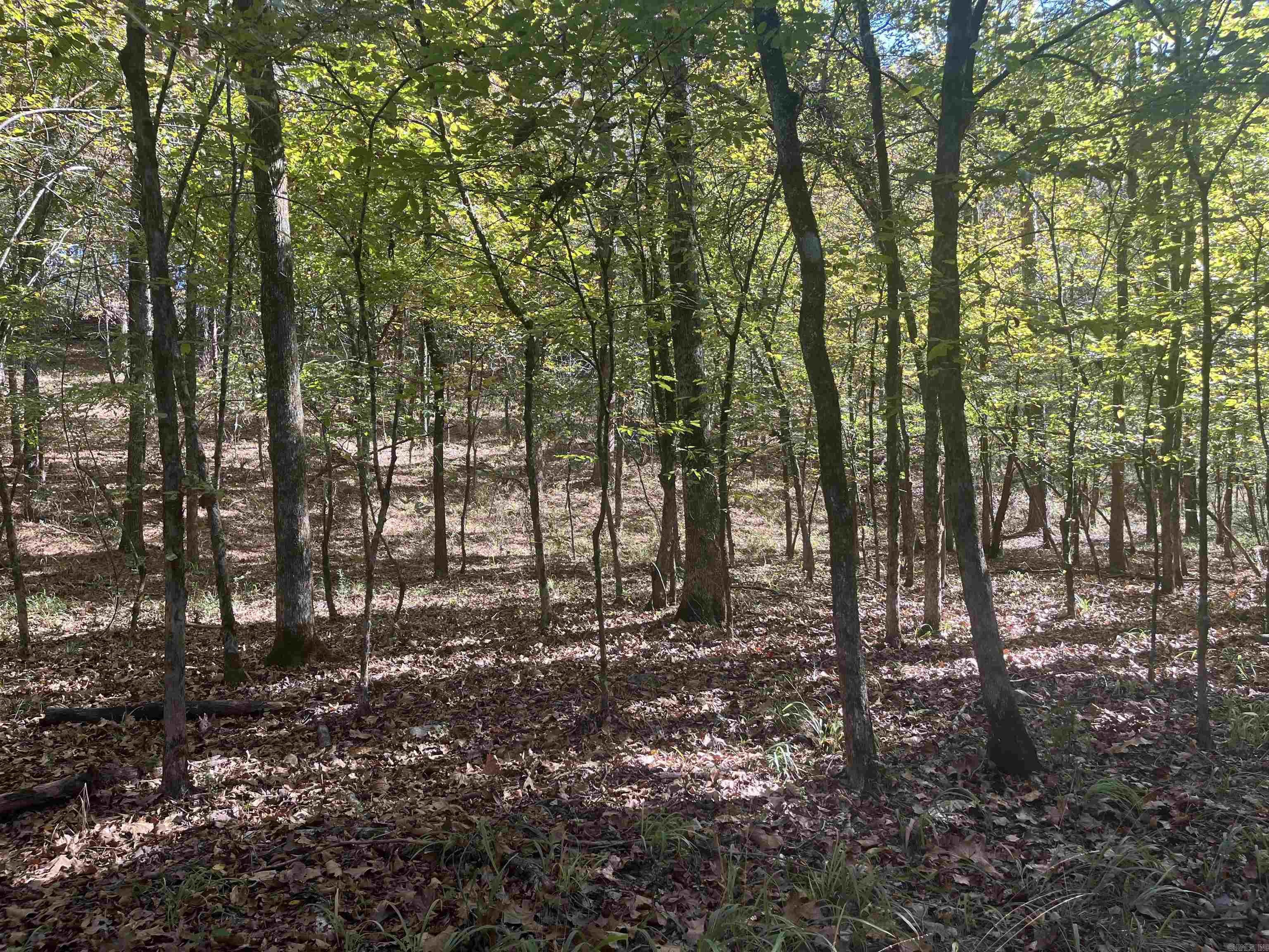 XXX Hwy 8  Norman, AR