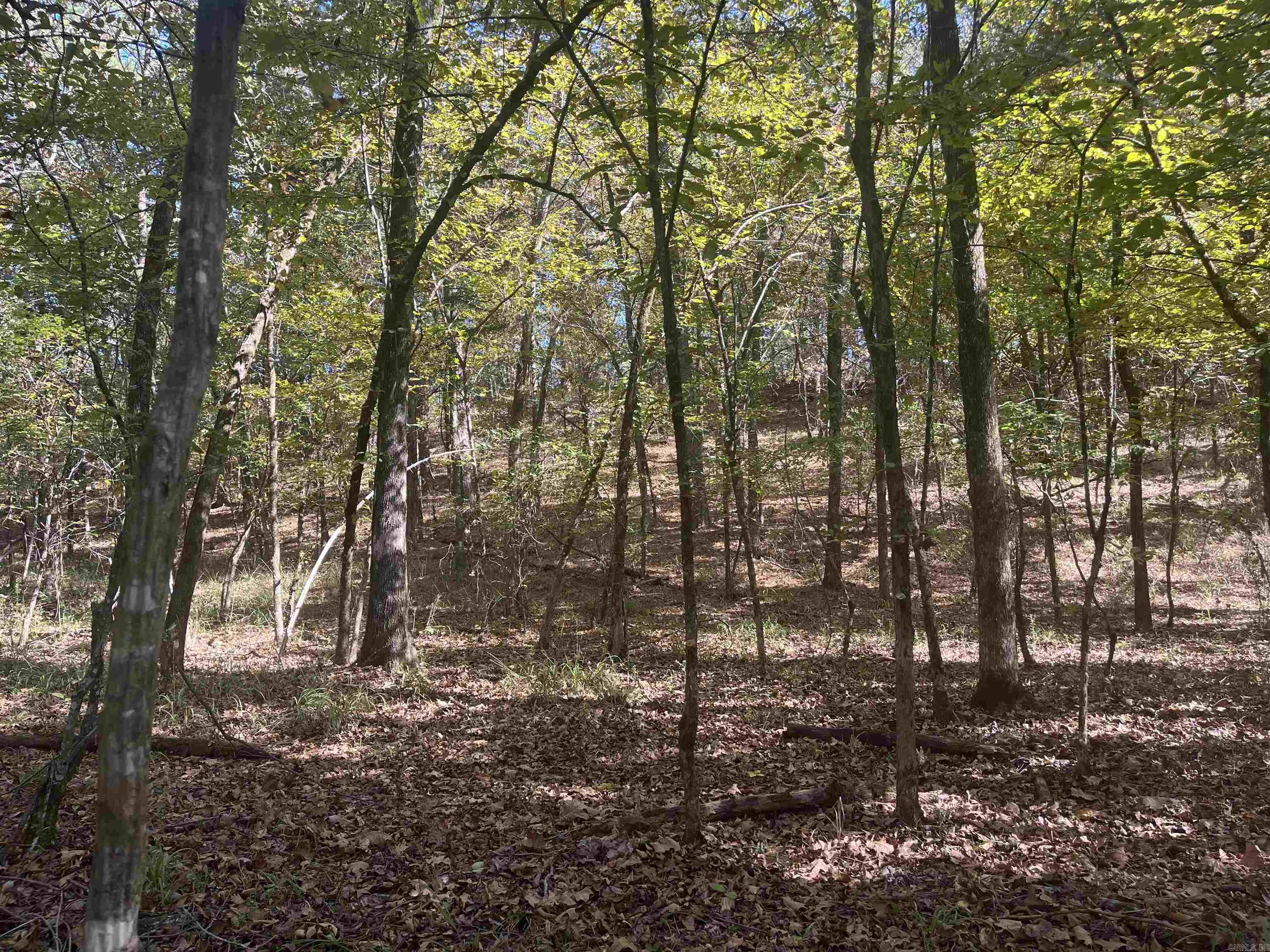 XXX Hwy 8  Norman, AR