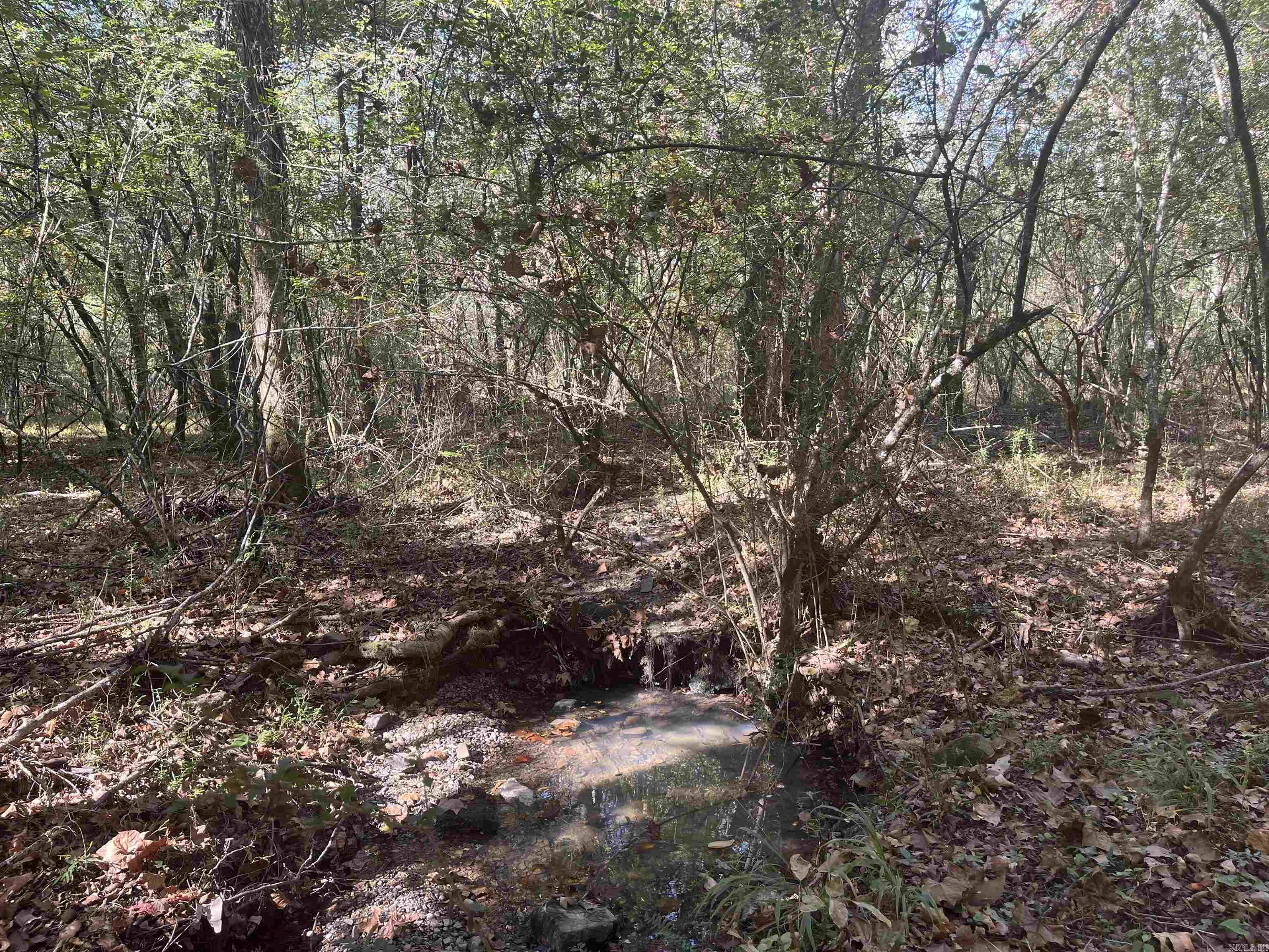 XXX Hwy 8  Norman, AR